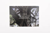 Sailor - Hiroshima Factory Commemorative Fountain Pen - Juniperus Chinensis - Limited Edition