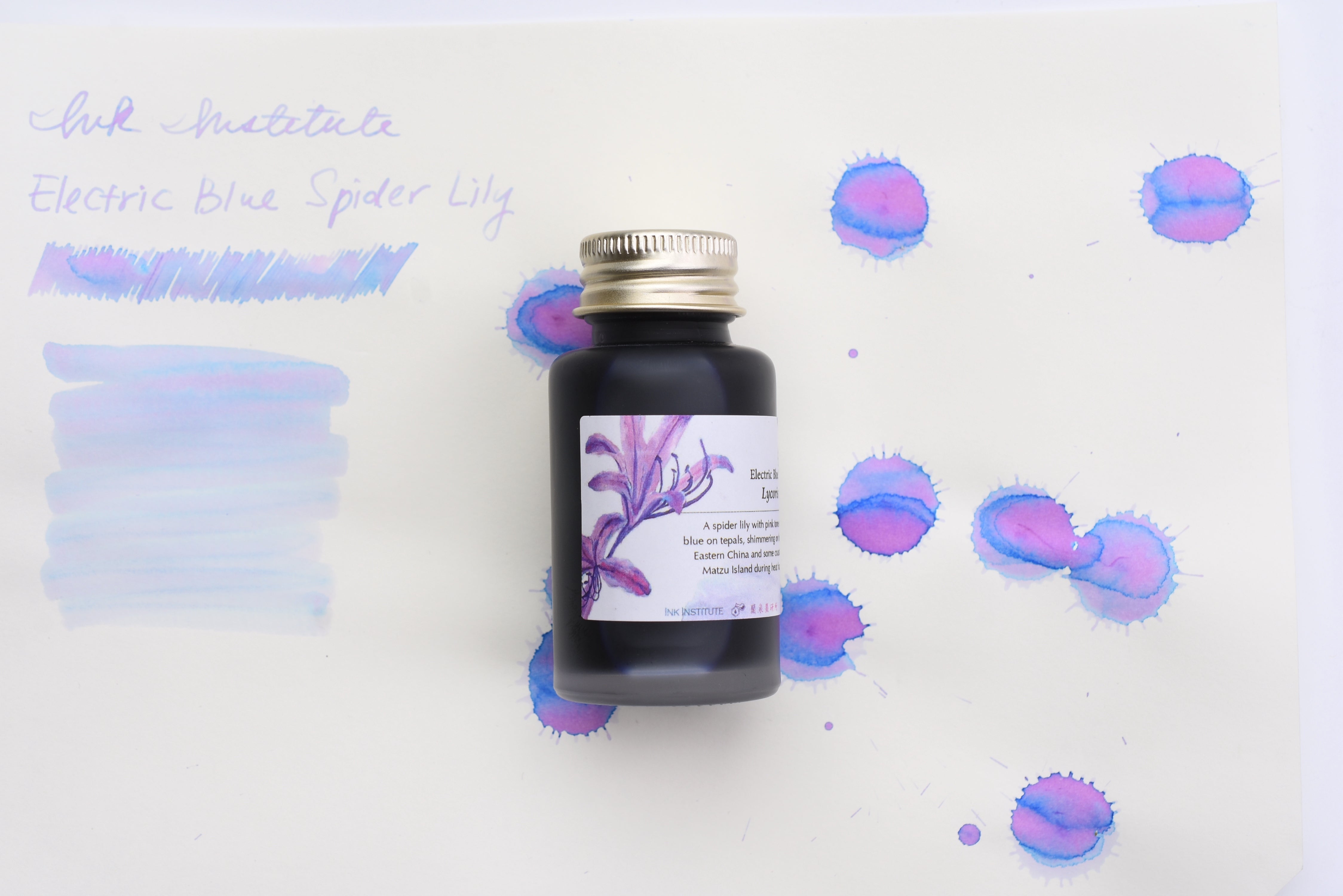 where to find blue spider lily Ink Institute Meander Series