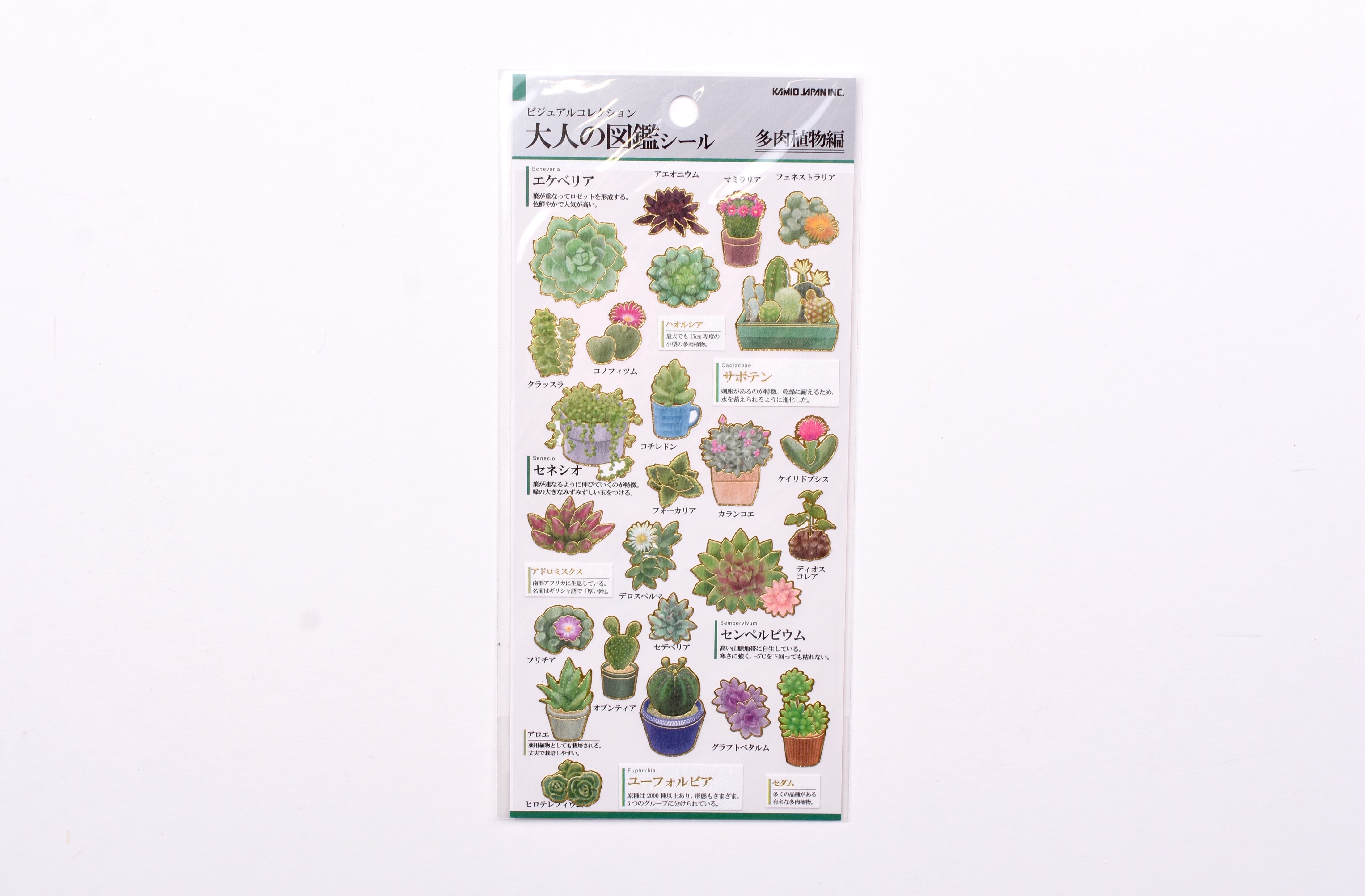 succulent stationery Kamio Collectable Seals