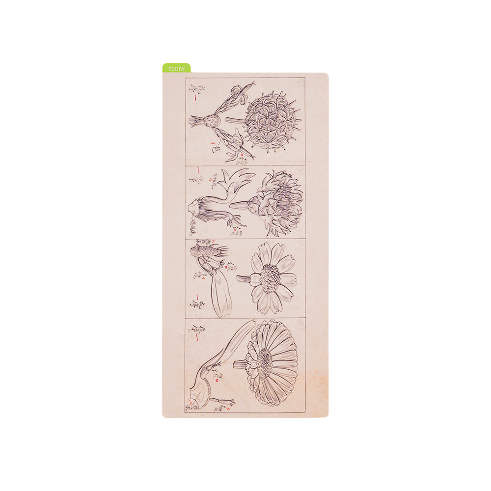 Hobonichi Pencil Board - Tomitaro Makino – Yoseka Stationery