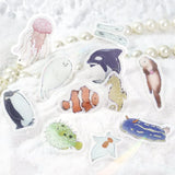 BGM Flake Sticker - IPPAI - Full of Sea Creatures