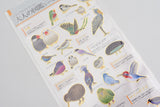 Kamio Illustrated Picture Book Stickers - Birds