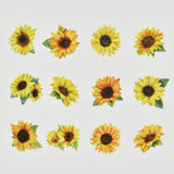 Bande Sunflowers
