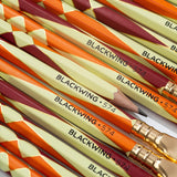 Blackwing Volume 574 - Native American Art and the 574 Nations Pencil - Set of 12 (Coming Soon)