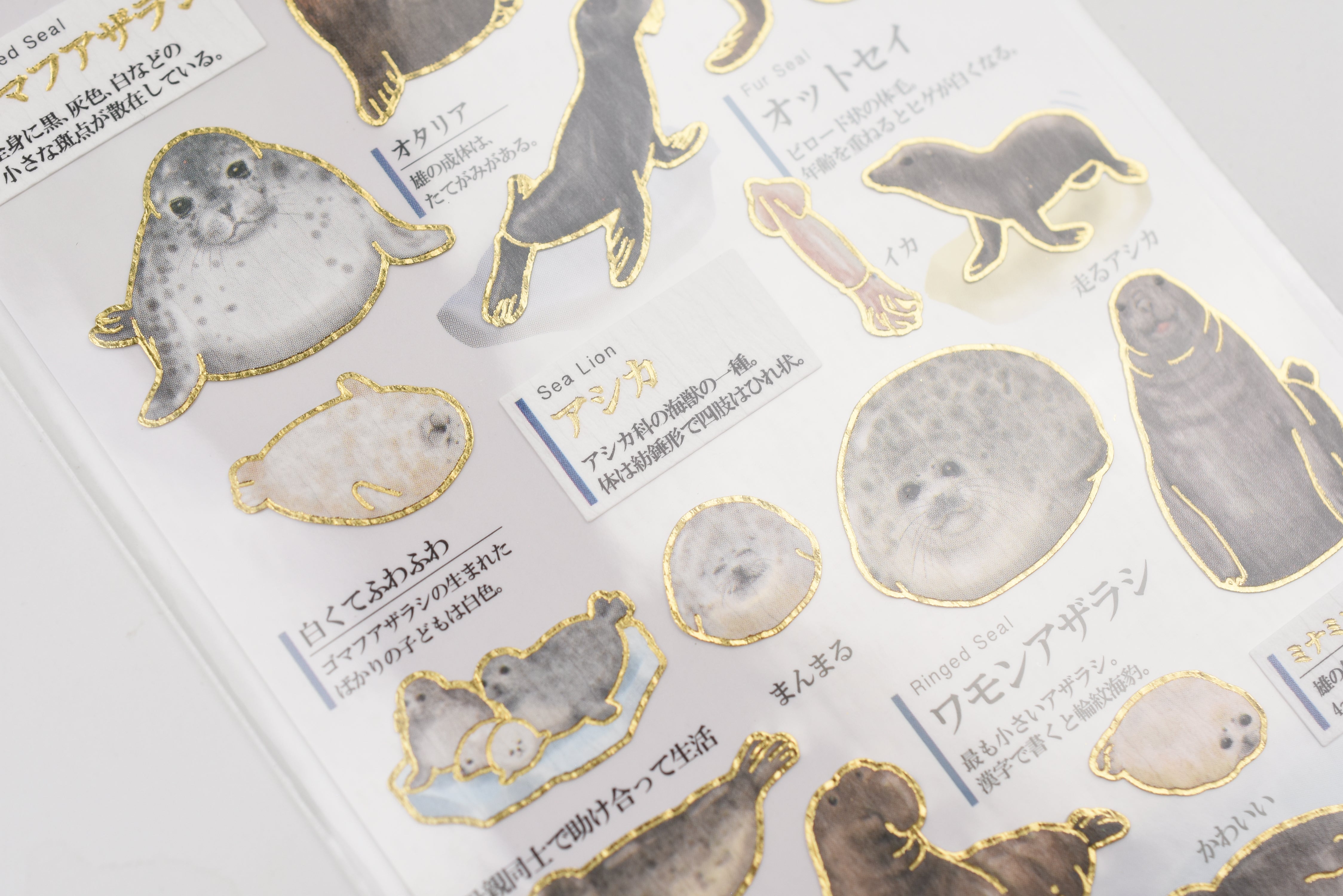 Kamio Adult Illustrated Picture Book Stickers - Sea Lions & Seals