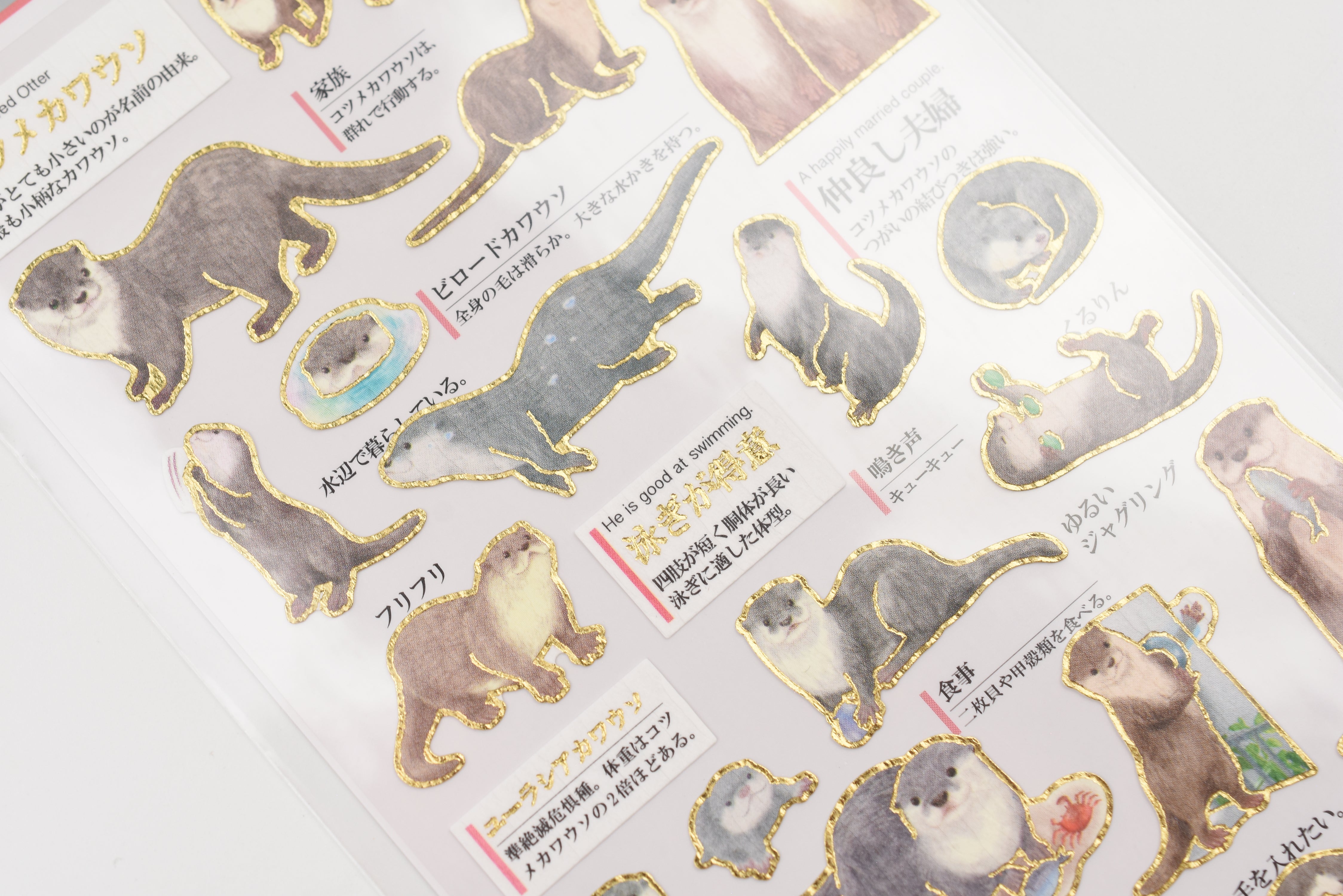 Kamio Adult Illustrated Picture Book Stickers - Otters