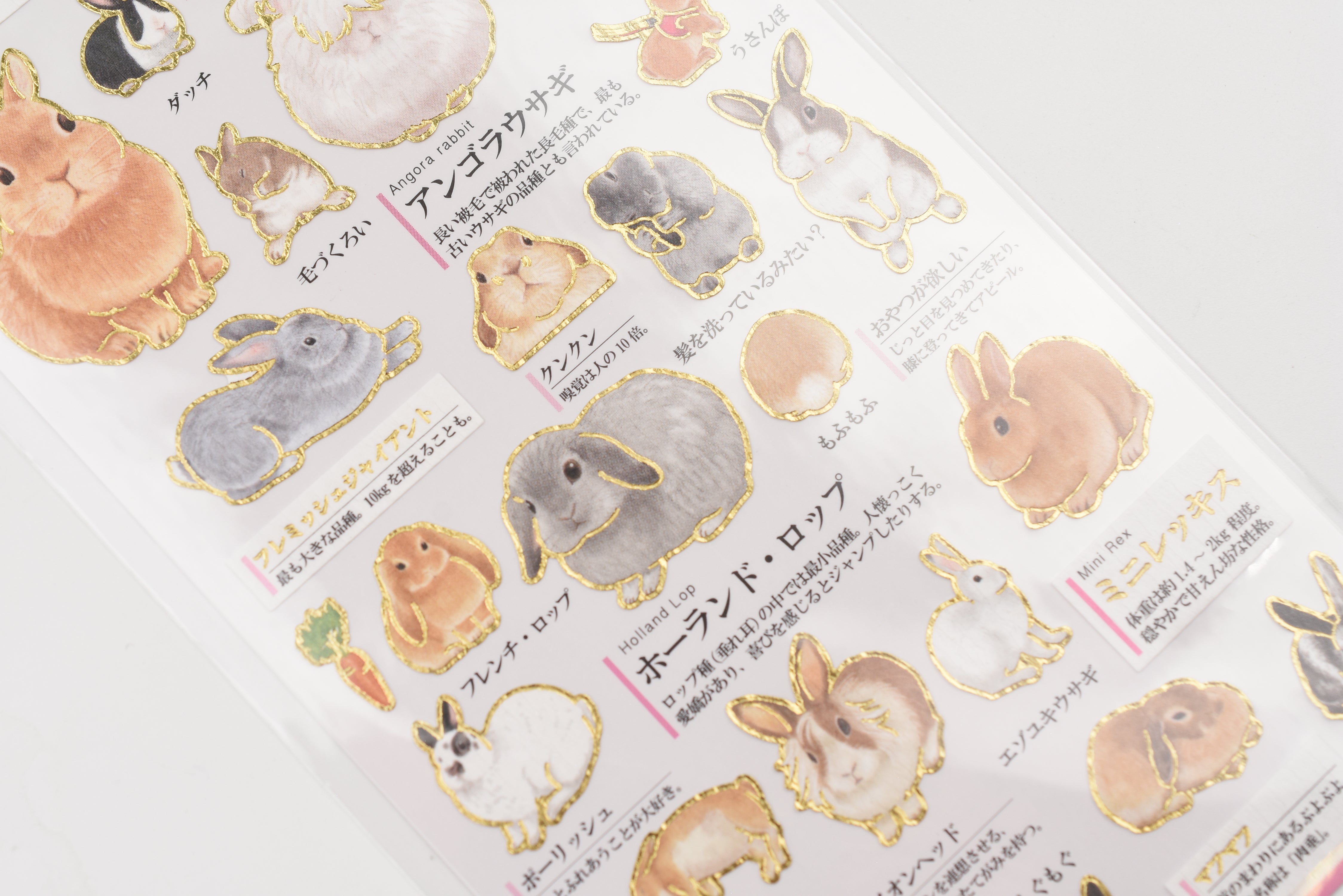 Kamio Adult Illustrated Picture Book Stickers - Rabbits