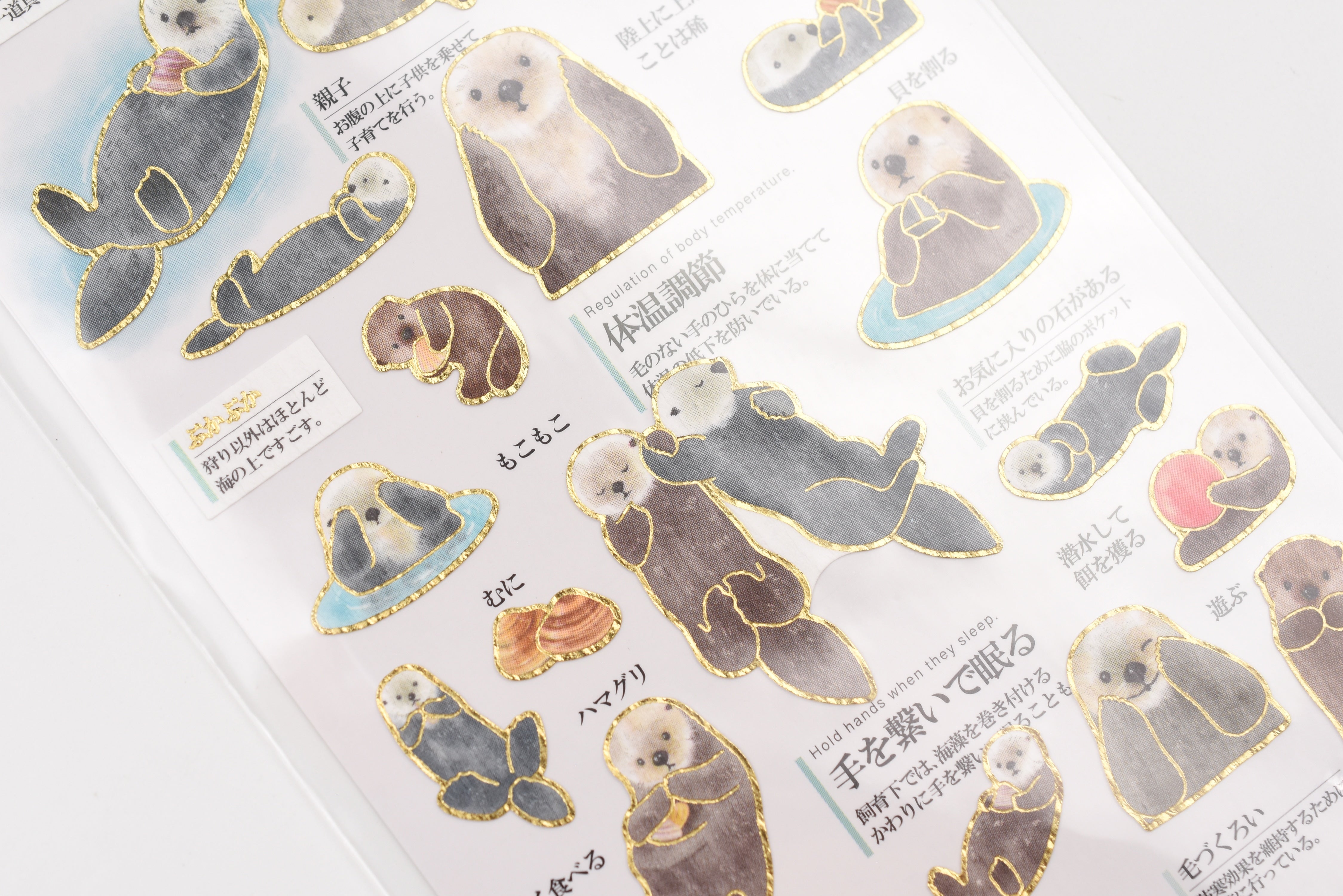 Kamio Adult Illustrated Picture Book Stickers - Otters