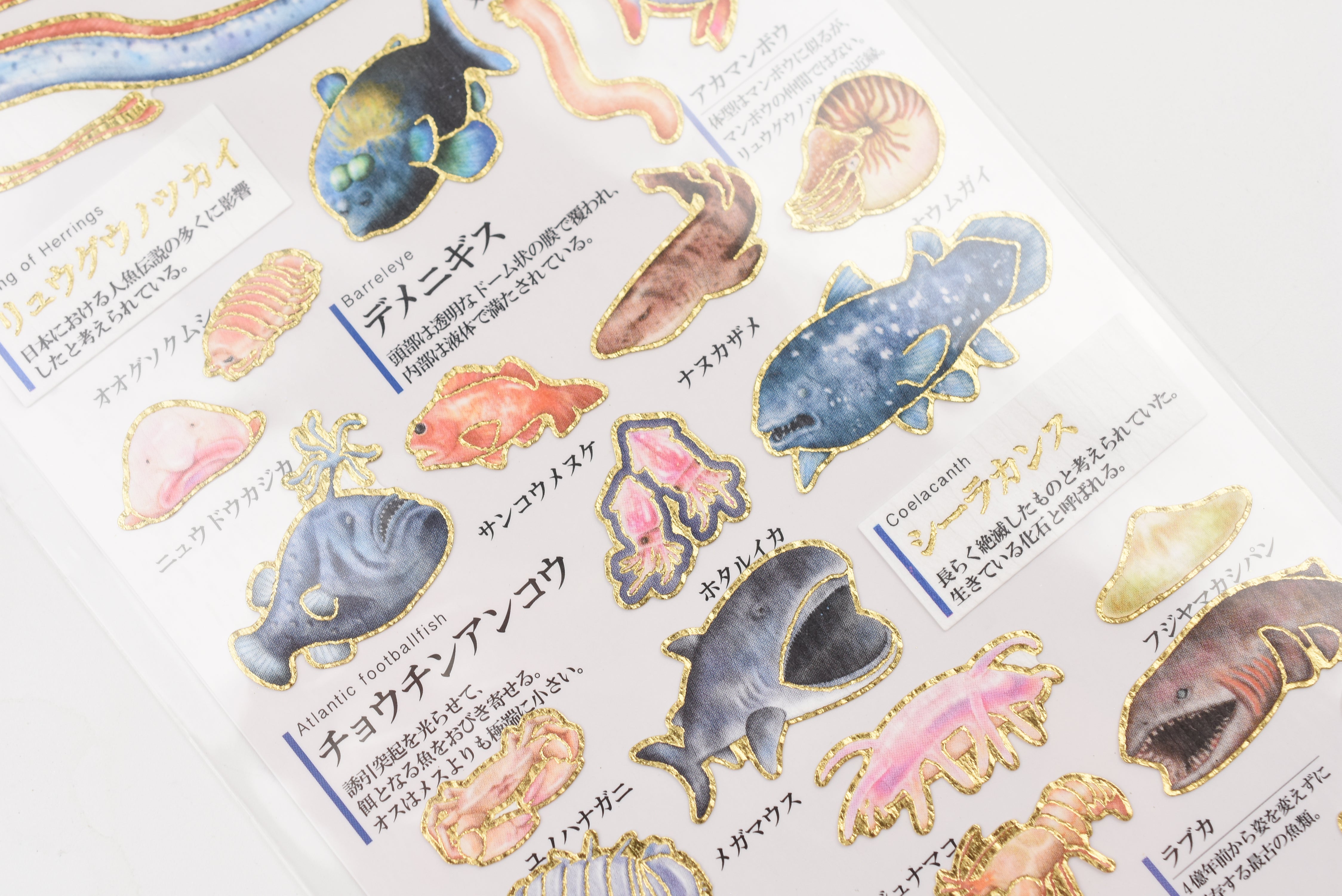 Kamio Adult Illustrated Picture Book Stickers - Deep-Sea Fish