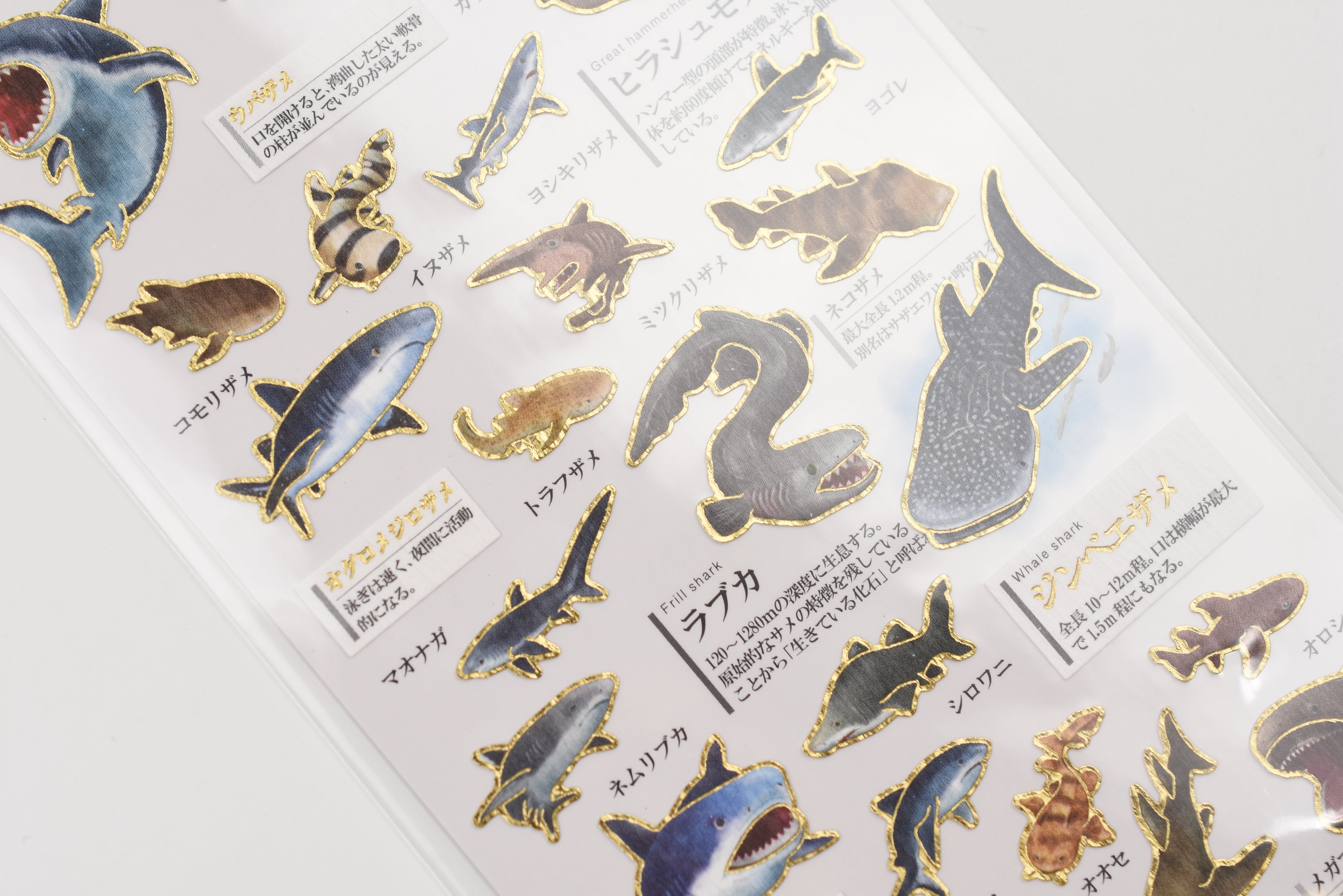 Kamio Adult Illustrated Picture Book Stickers - Shark