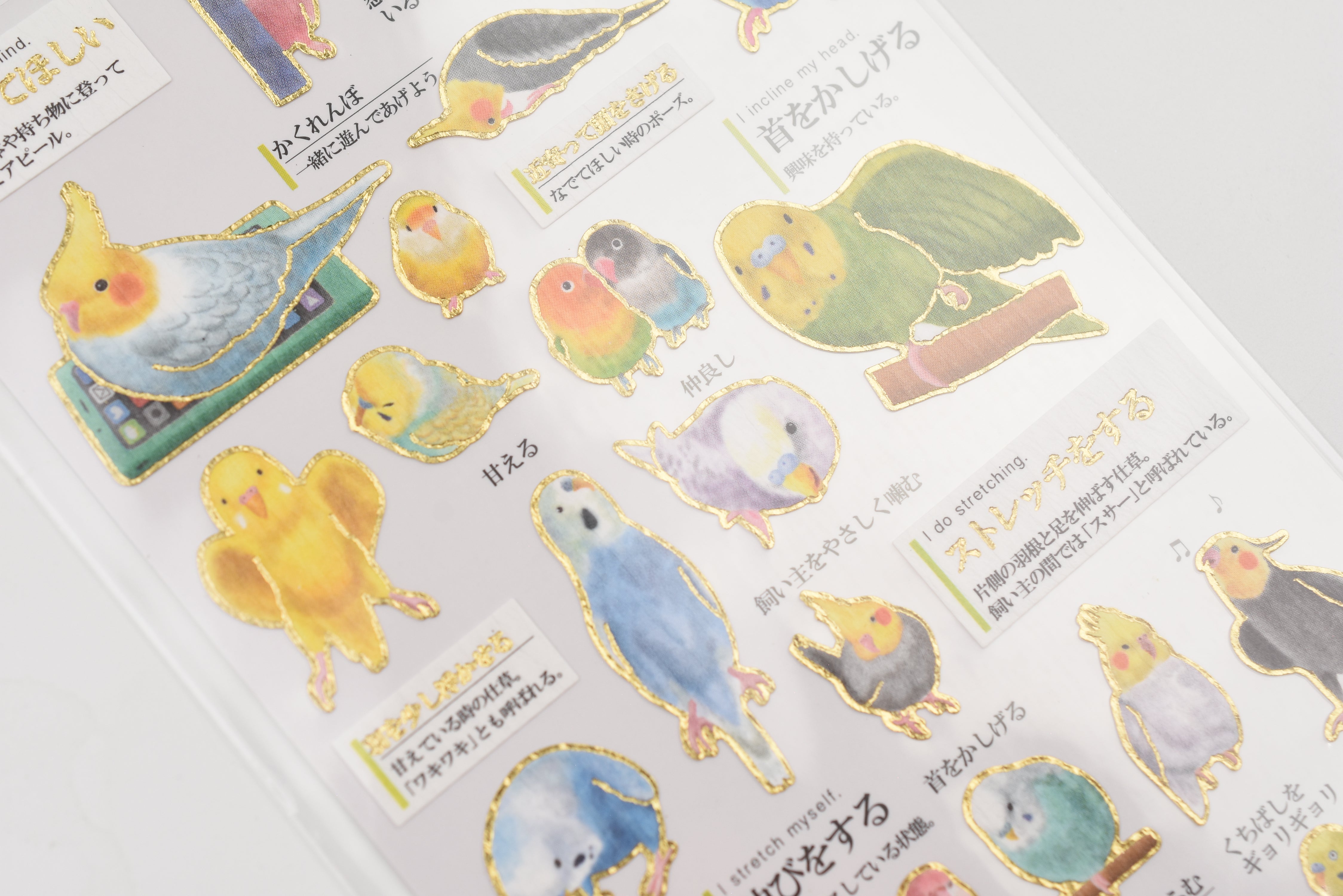 Kamio Adult Illustrated Picture Book Stickers - Parakeet Feelings