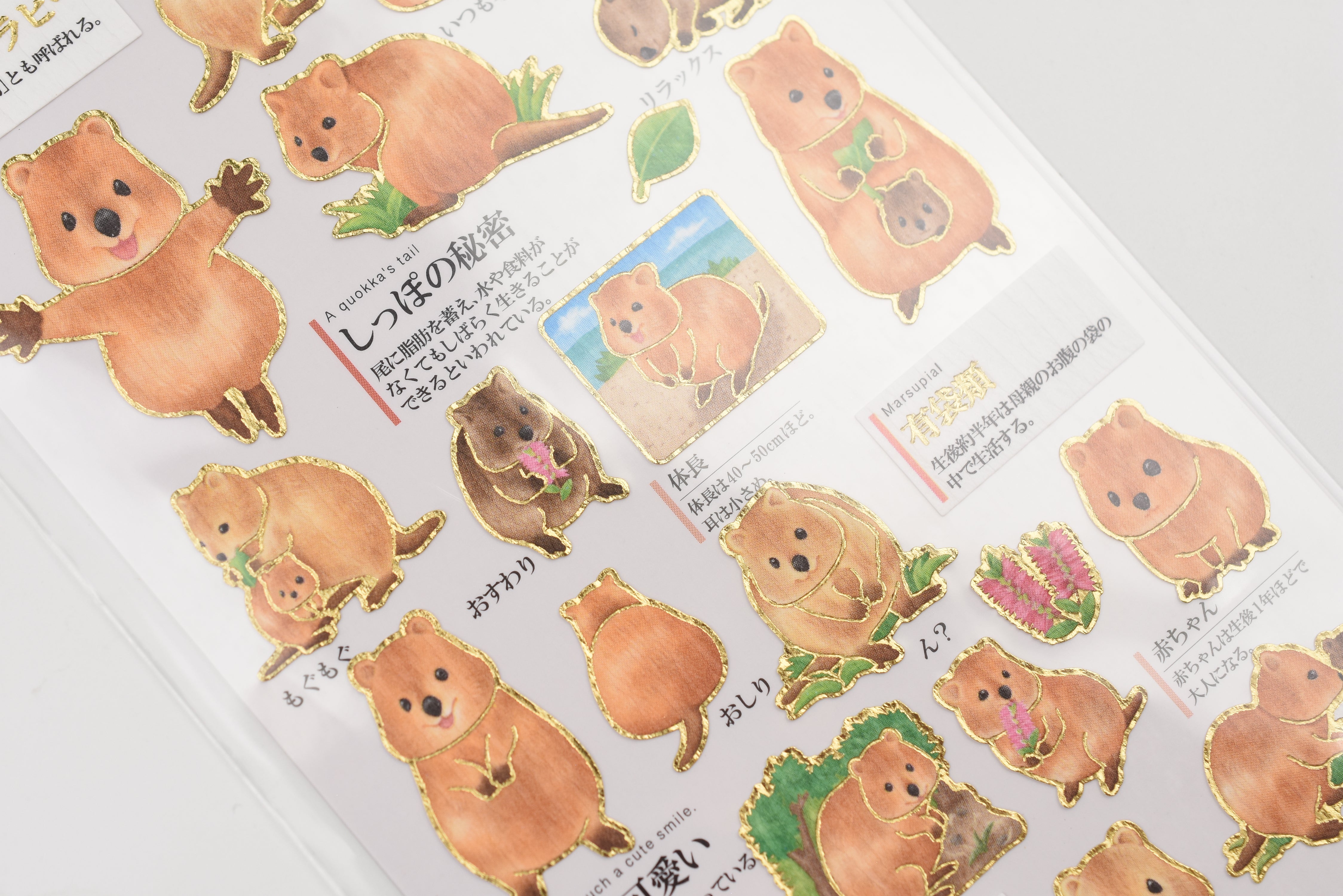 Kamio Adult Illustrated Picture Book Stickers - Quokka