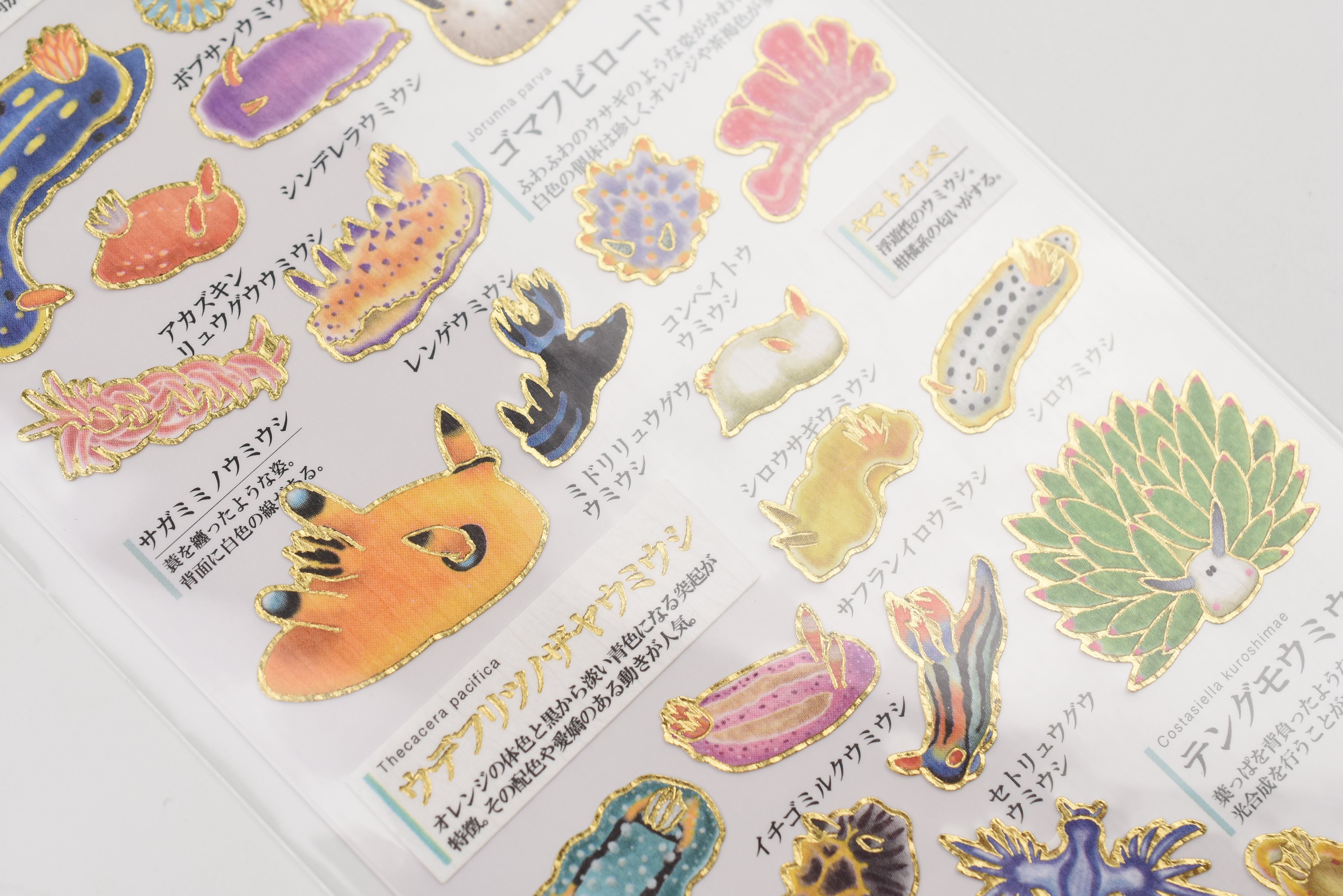 Kamio Adult Illustrated Picture Book Stickers - Sea Urchin