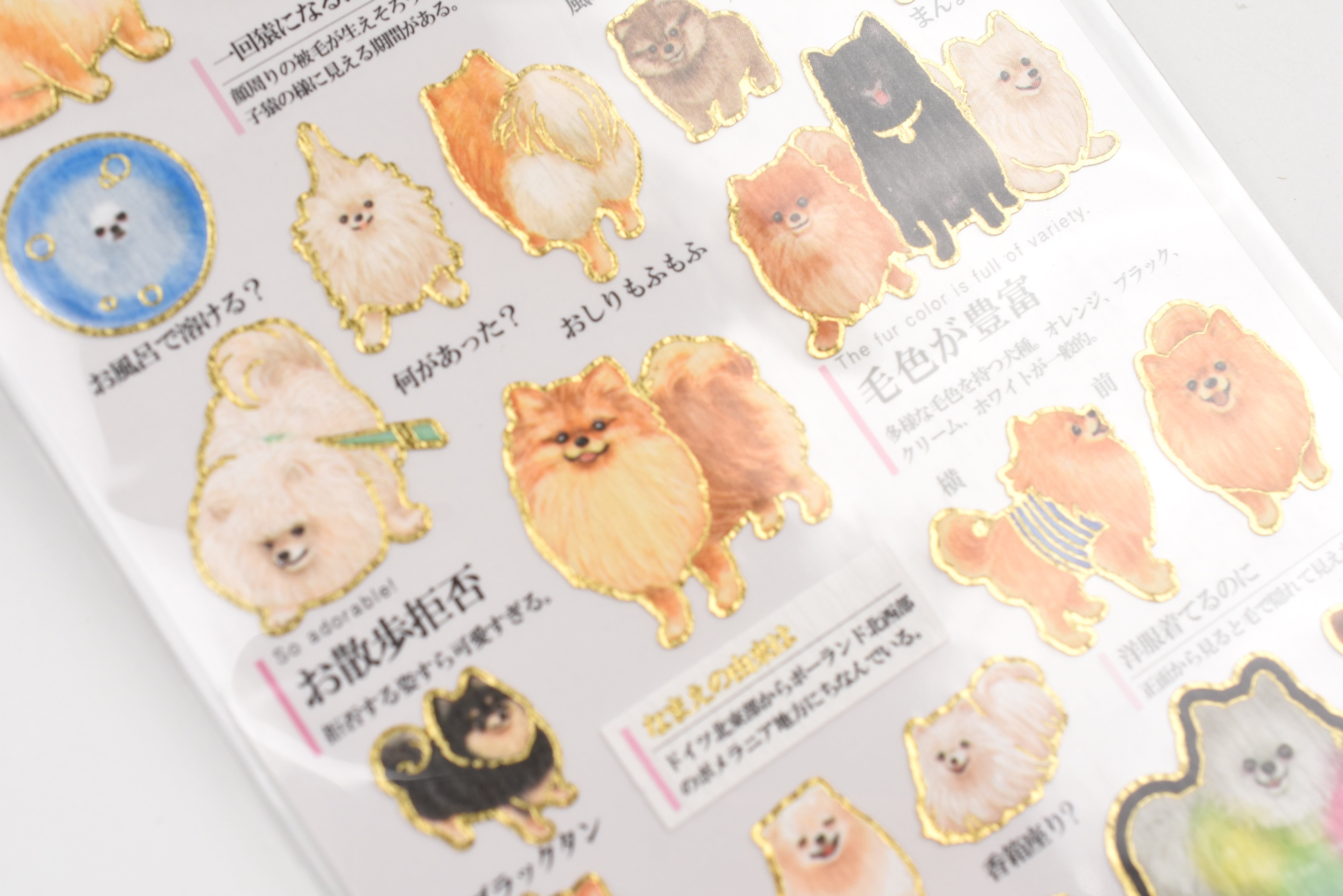 Kamio Adult Illustrated Picture Book Stickers - Pomeranian