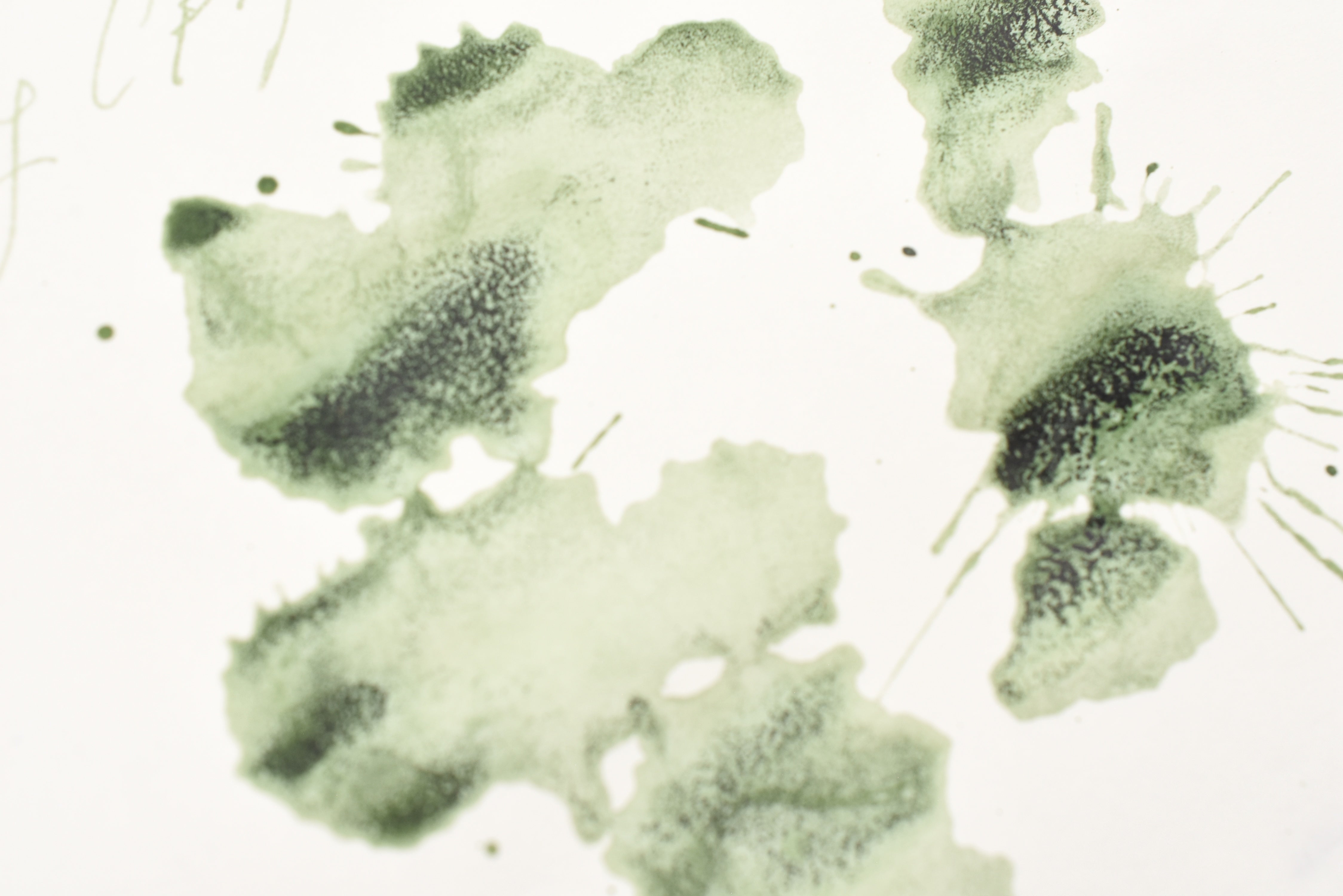 Tono & Lims Ink Bottle - Producer - Spreader - 30ml