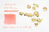 Sailor Dipton Shimmering Ink - Coral humming - 20mL Bottle