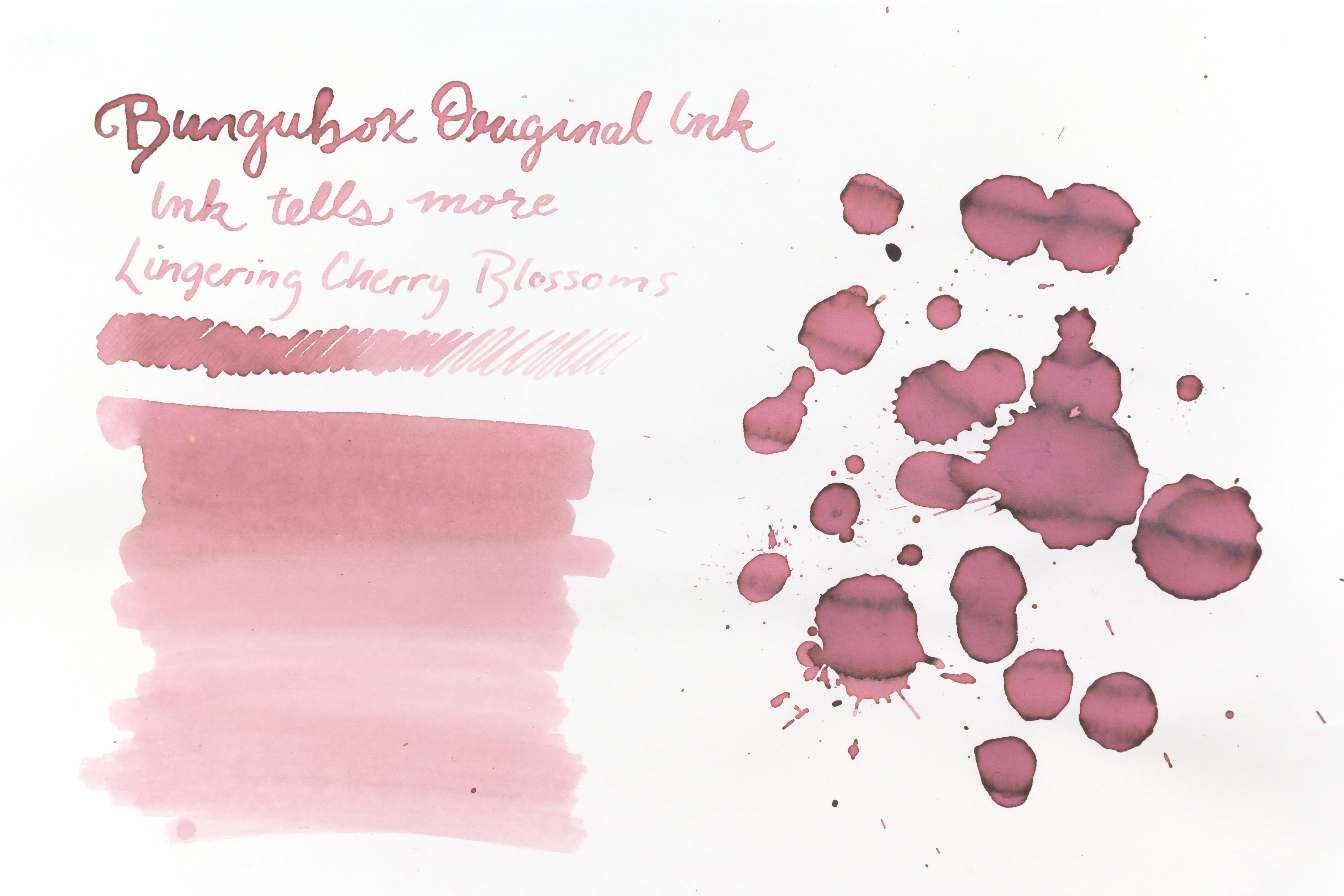 BUNGUBOX Original Ink - Ink tells more - Lingering Cherry Blossoms