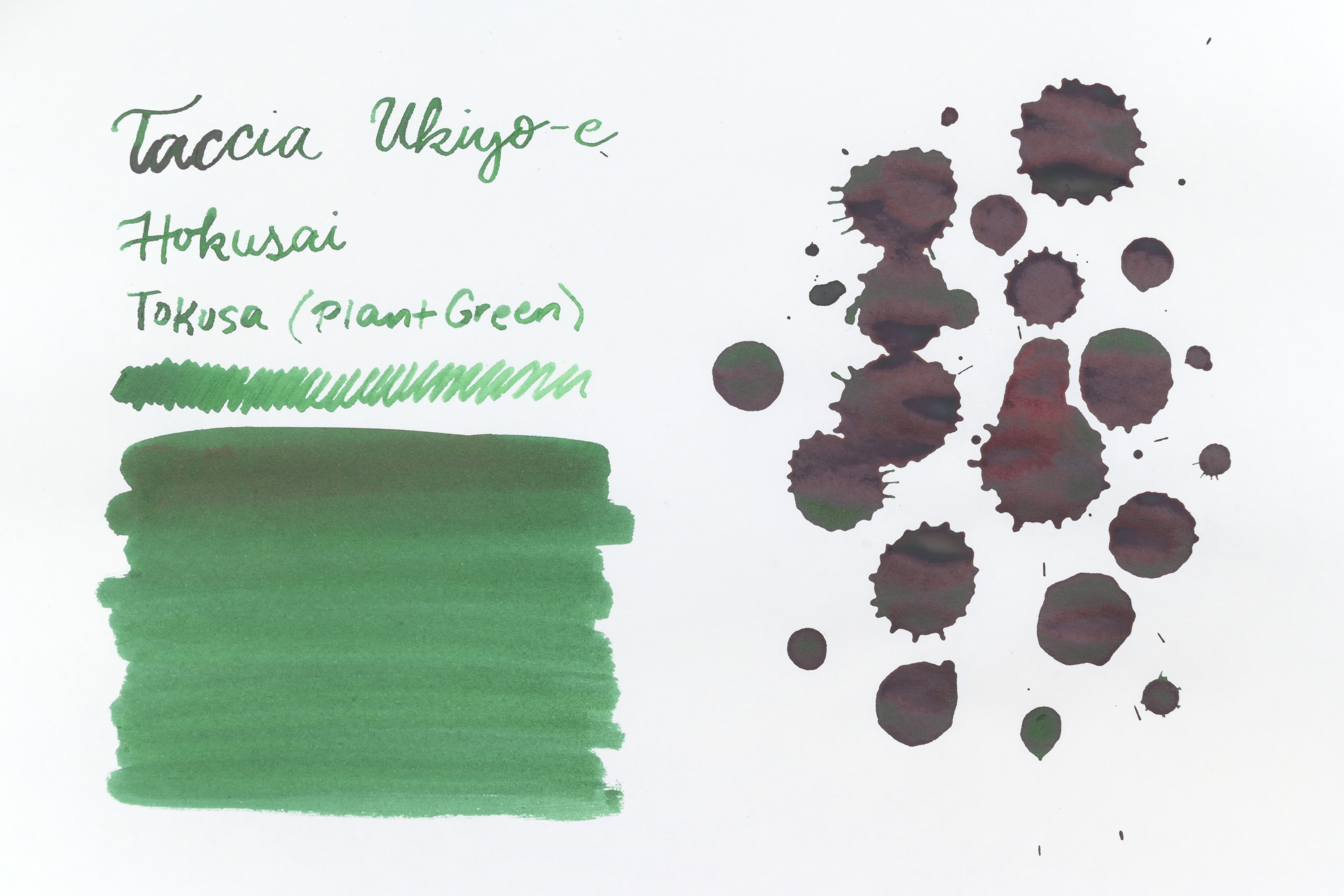 Taccia Ukiyo-e - Hokusai - Tokusa (Plant Green)