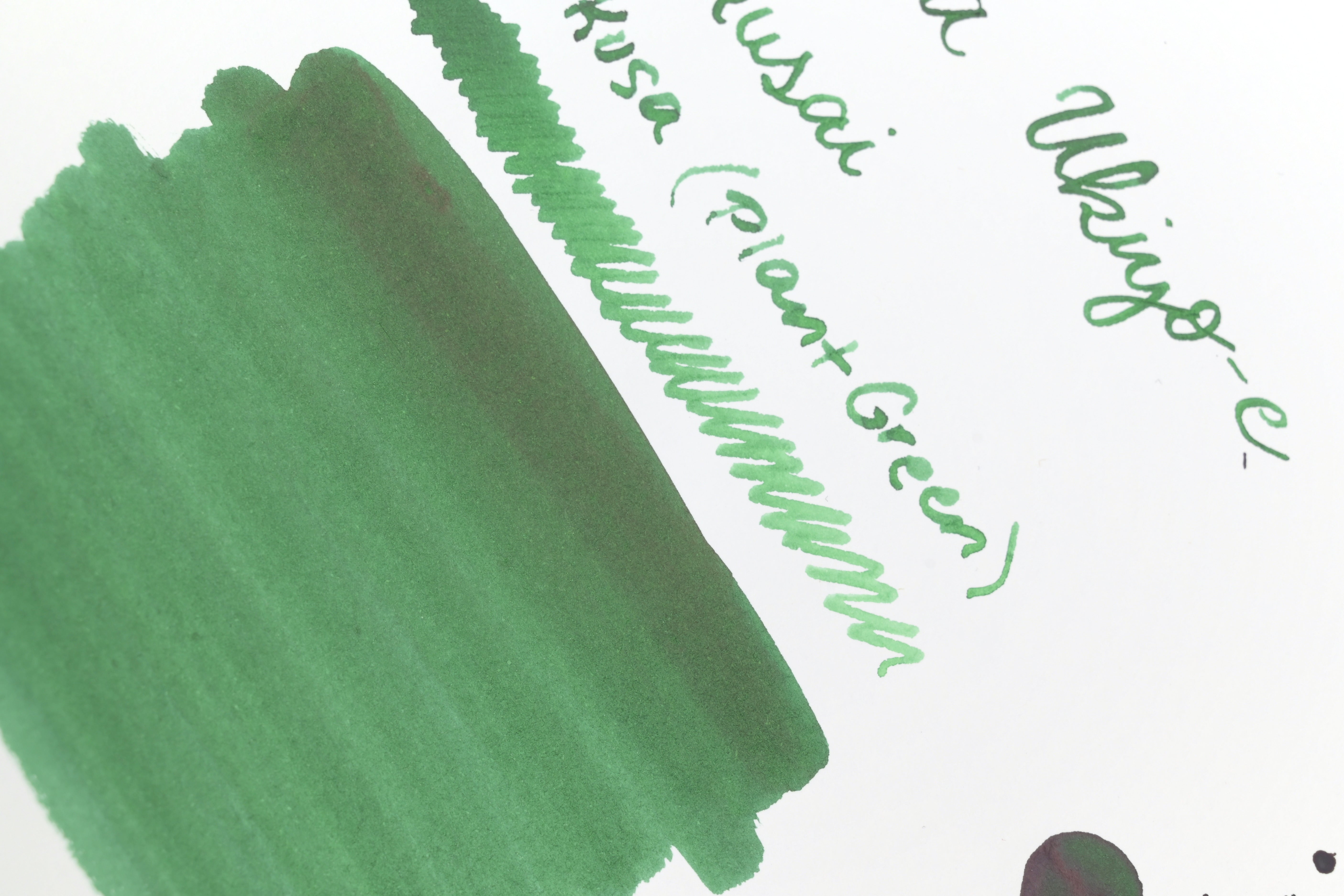 Taccia Ukiyo-e - Hokusai - Tokusa (Plant Green)