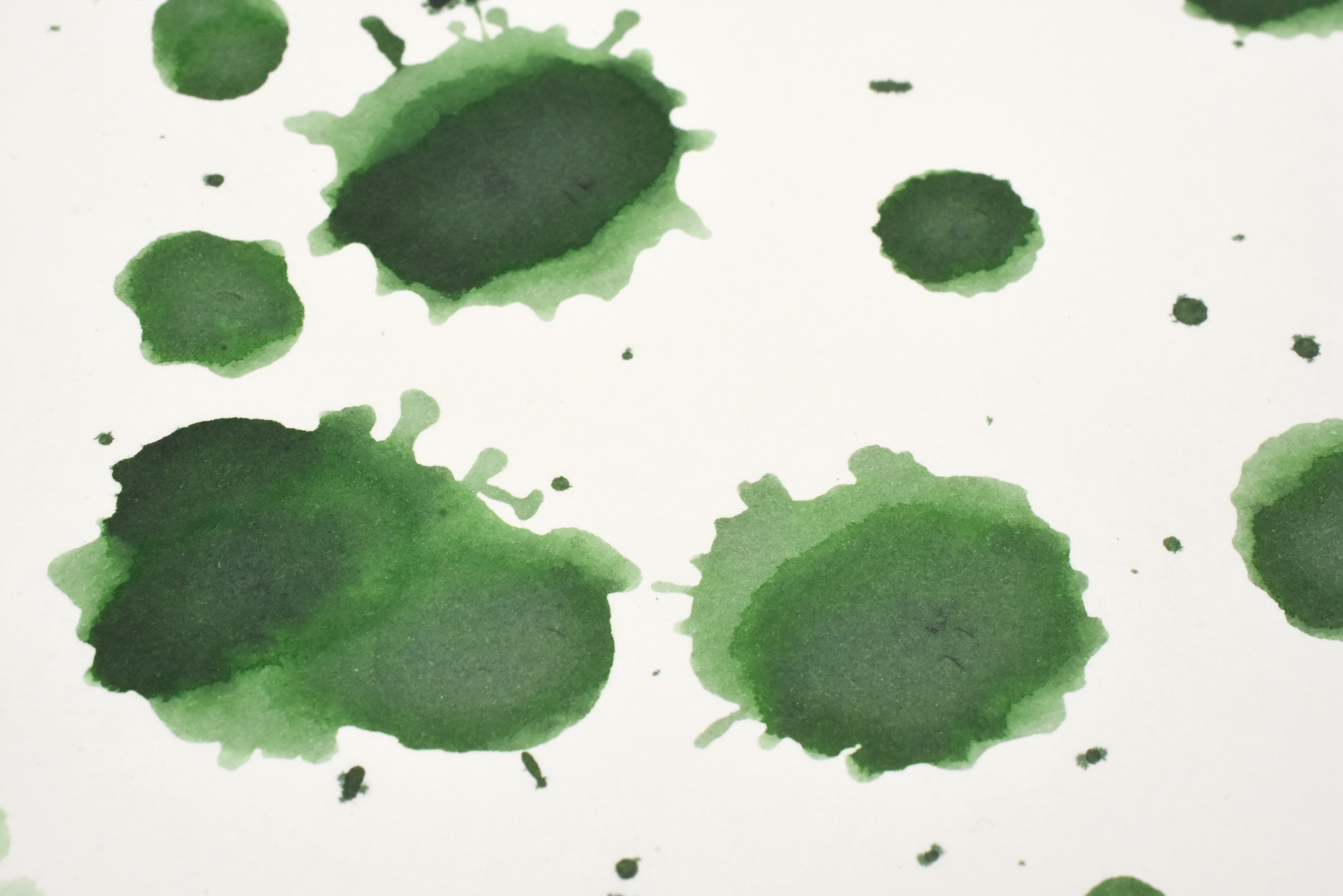 Tono & Lims Ink Bottle - A Space Walk at Yoseka - Echo of Eucalyptus - 30ml - Limited Edition