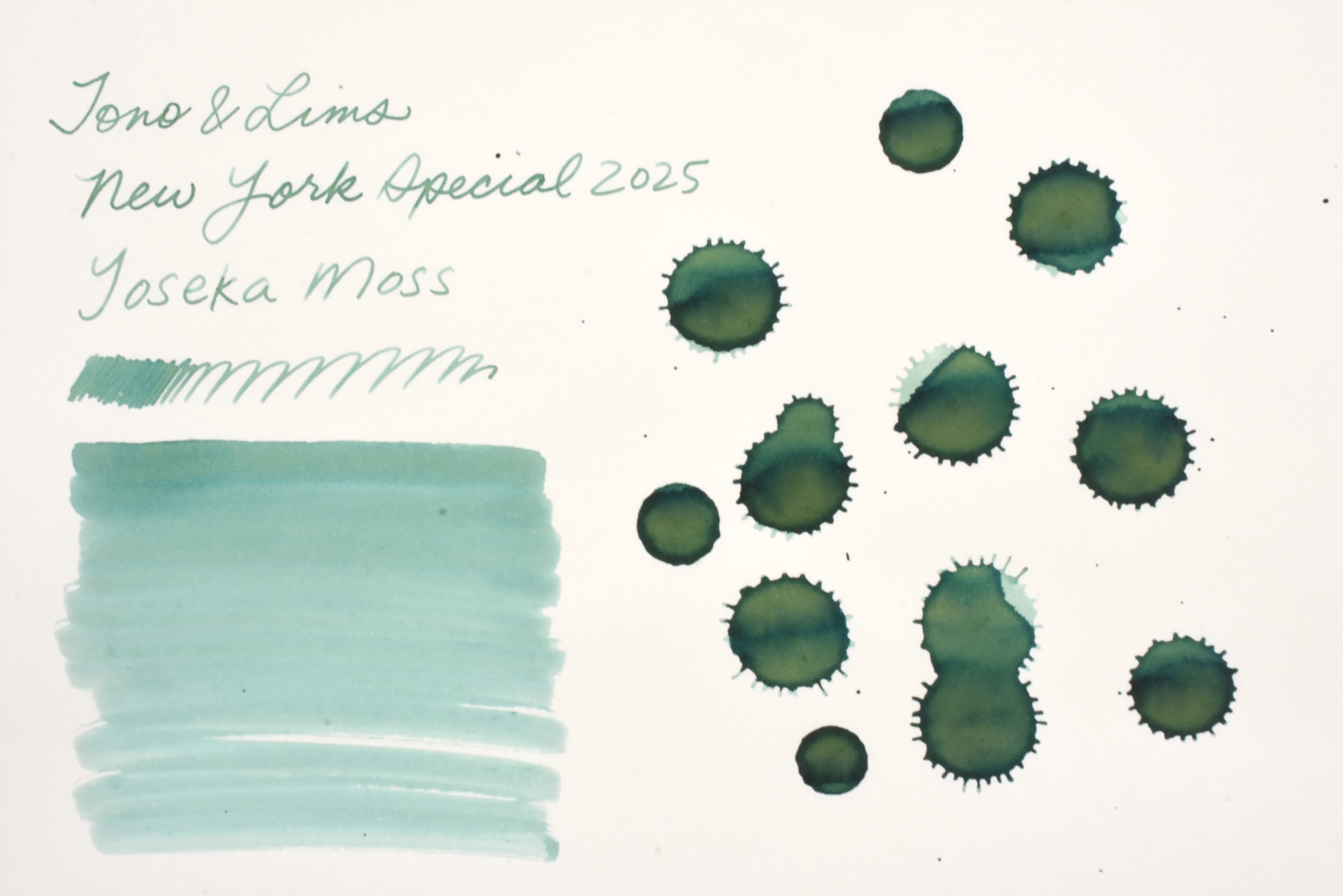 Tono & Lims Ink Bottle - A Space Walk at Yoseka - Yoseka Moss - 30ml - Limited Edition