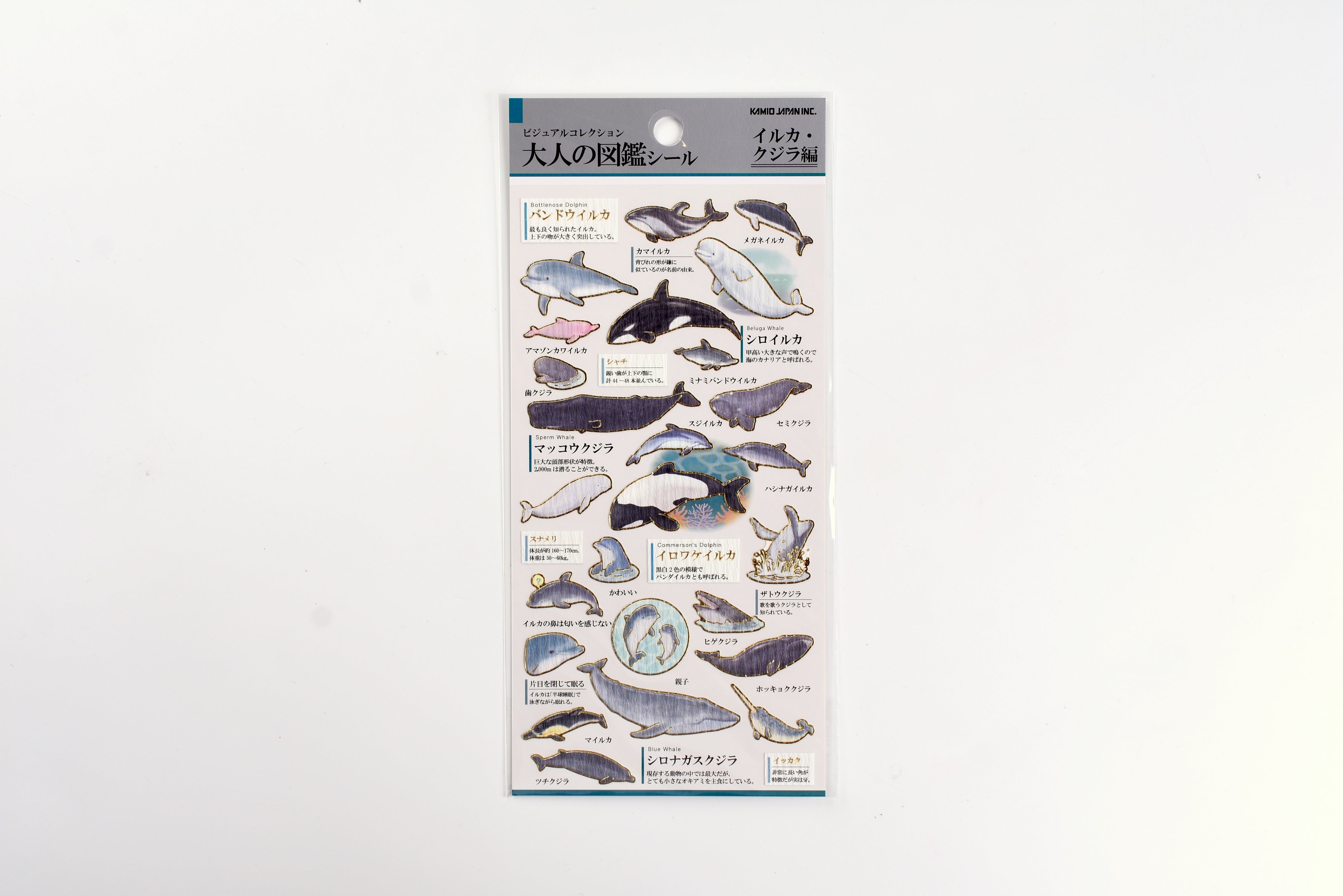 Kamio Illustrated Picture Book Stickers - Dolphins & Whales