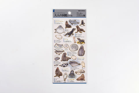 Kamio Illustrated Picture Book Stickers - Sea Lions & Seals