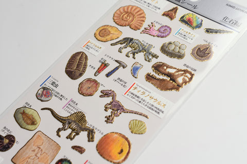 Kamio Illustrated Picture Book Stickers - Fossils