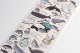 Kamio Illustrated Picture Book Stickers - Dolphins & Whales