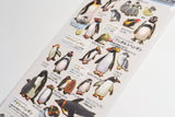 Kamio Illustrated Picture Book Stickers - Penguin