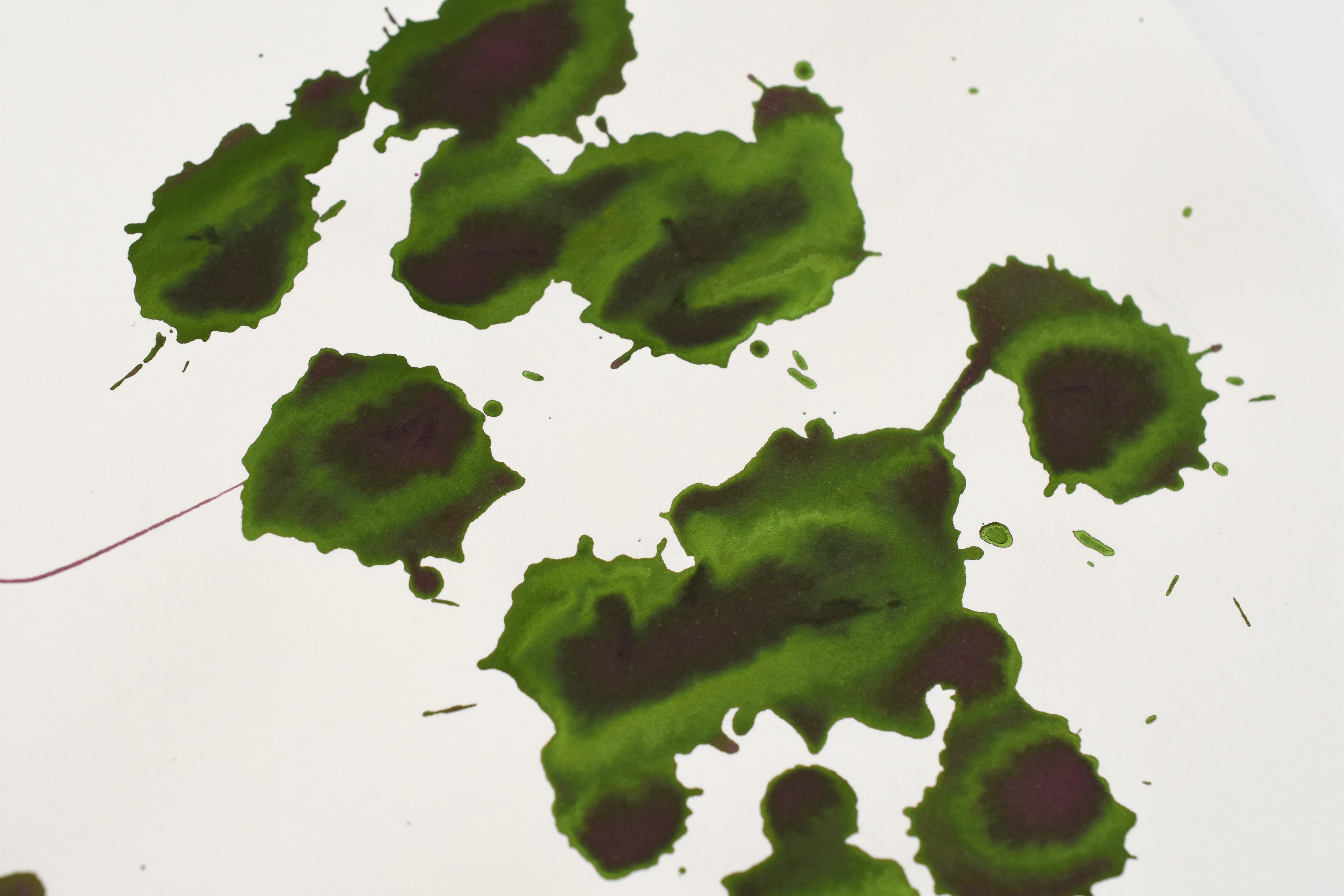 Troublemaker Inks - Standard - Freedom Park Rose - 60 mL