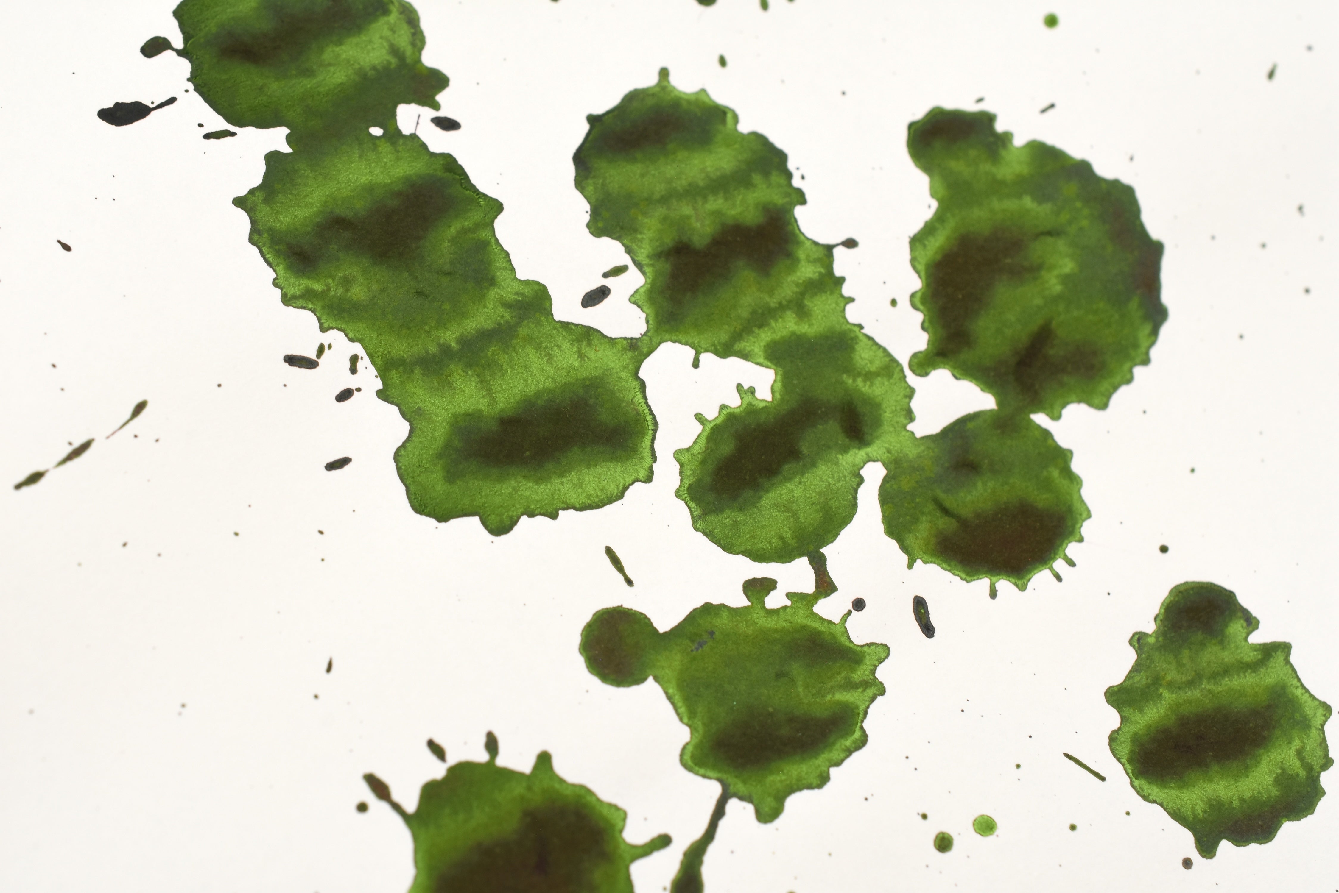 Troublemaker Inks - Sheening - Nenita - 60 mL