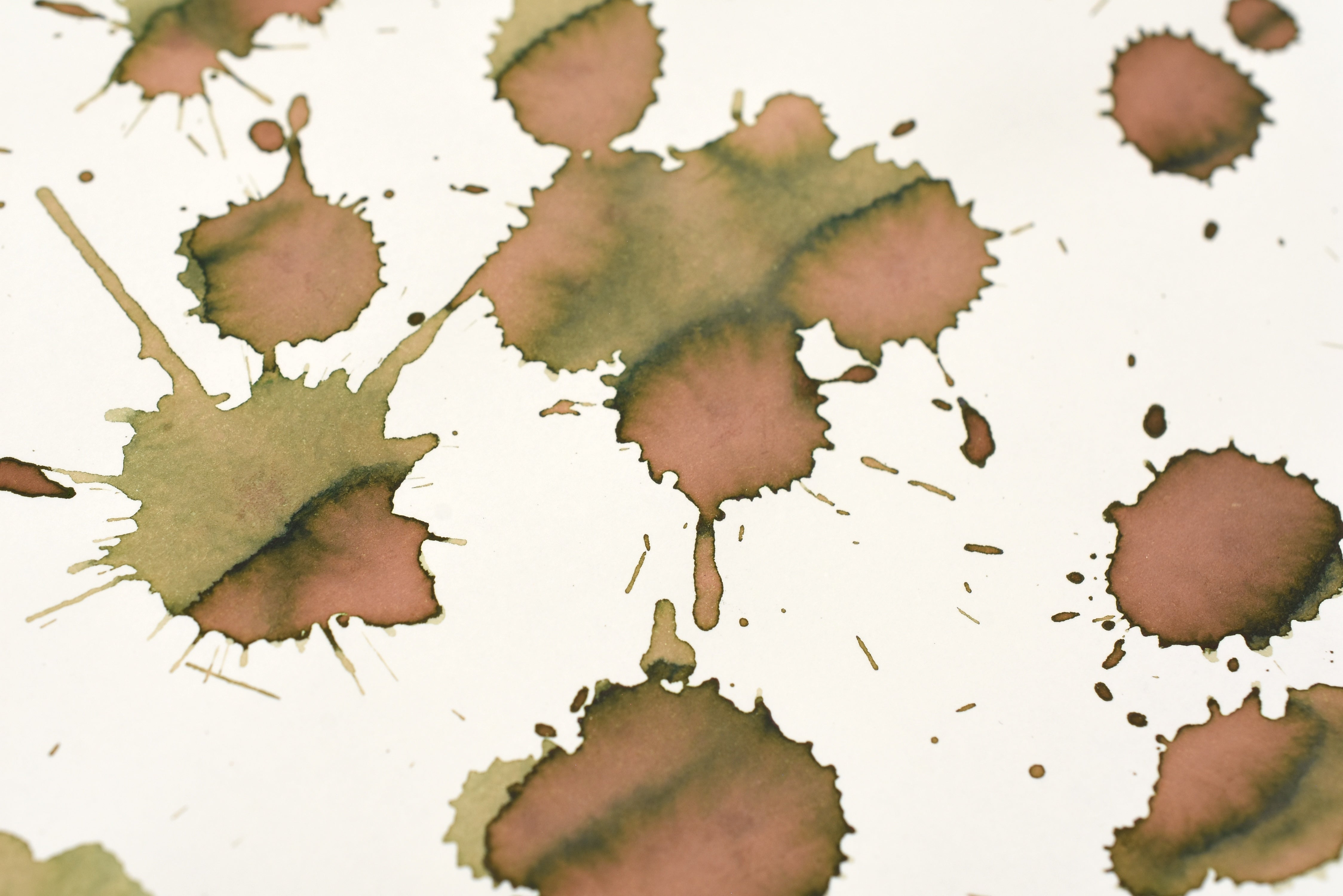 Troublemaker Inks - Shading - Kelp Tea - 60 mL