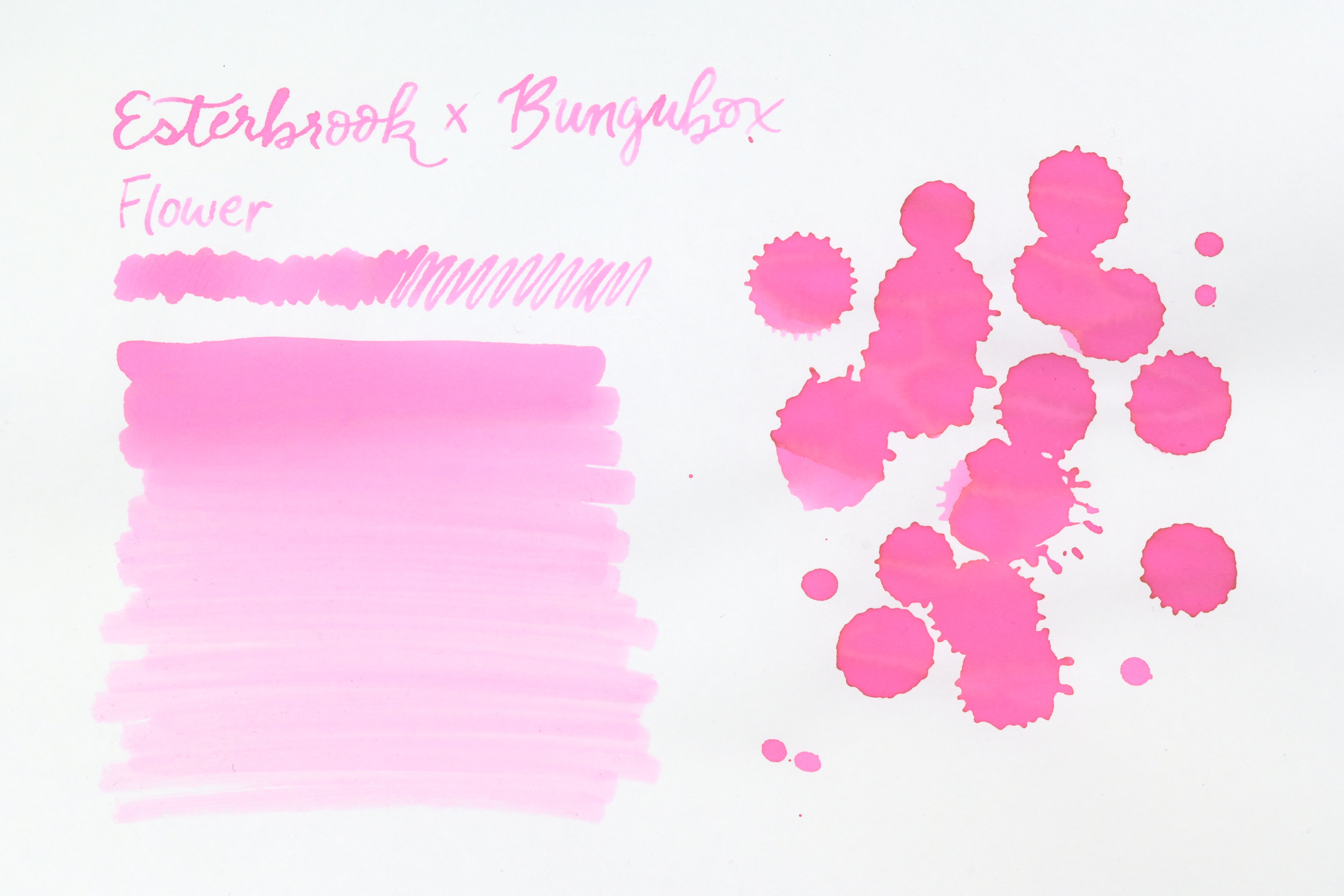 Esterbrook x BUNGUBOX Ink - Kachofugetsu - Flower - 30mL Bottle - Limited Edition