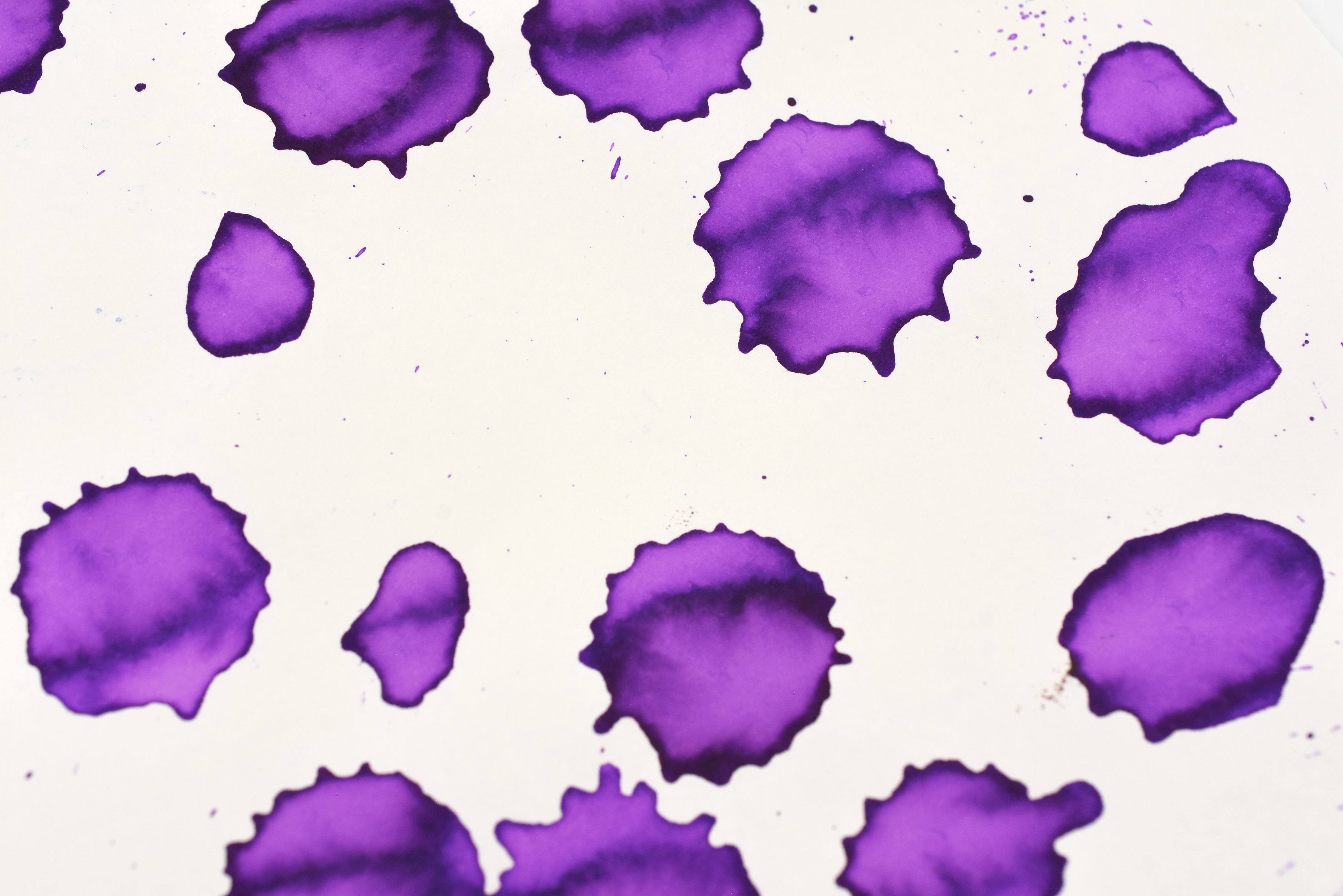 Tono & Lims Ink Bottle - Special Collaboration - Night Parade of Hundred Yokai - Tengu(天狗) - 30ml