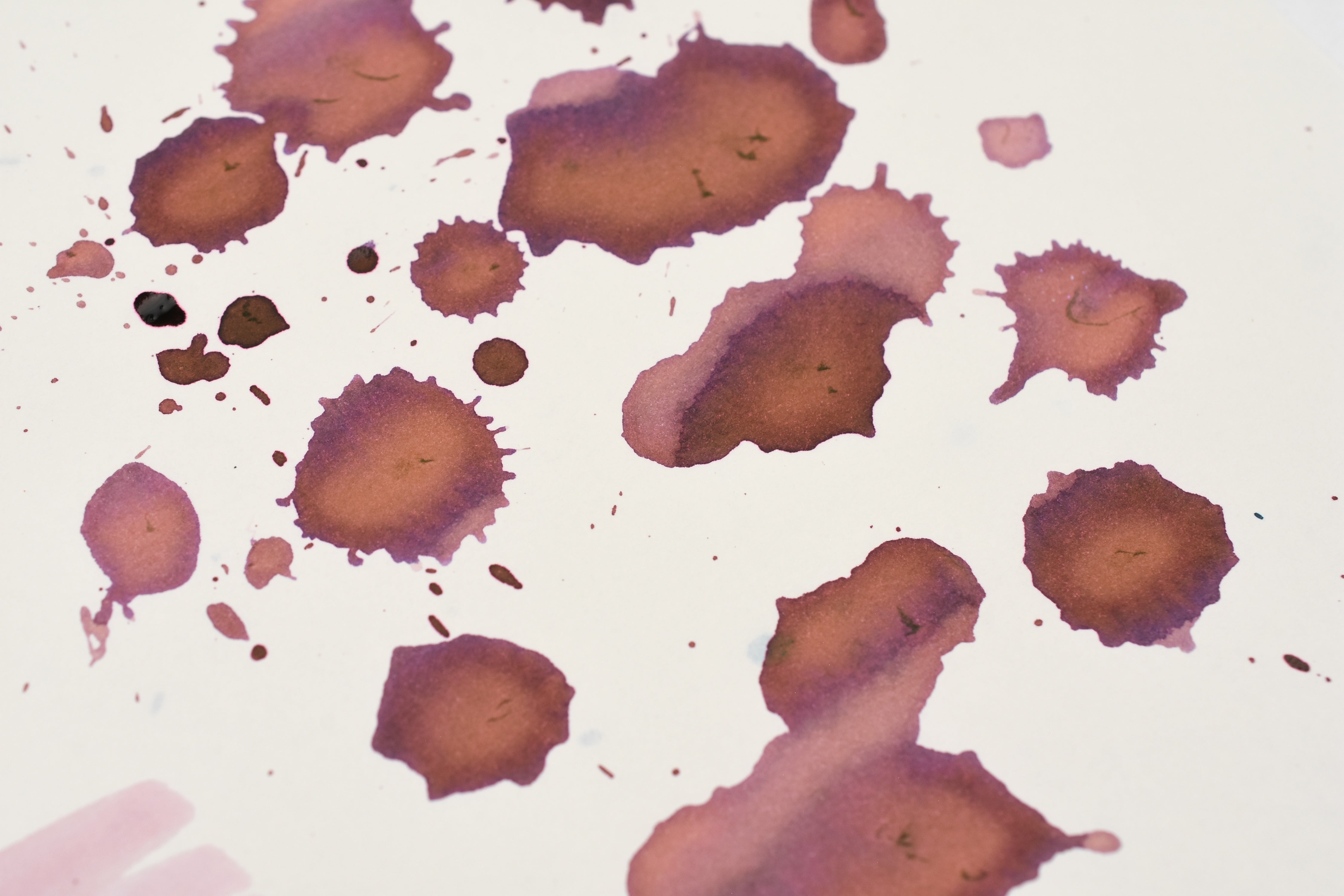 Tono & Lims Ink Bottle - Special Collaboration - Sarasa Doudan (サラサドウダン) - 30ml