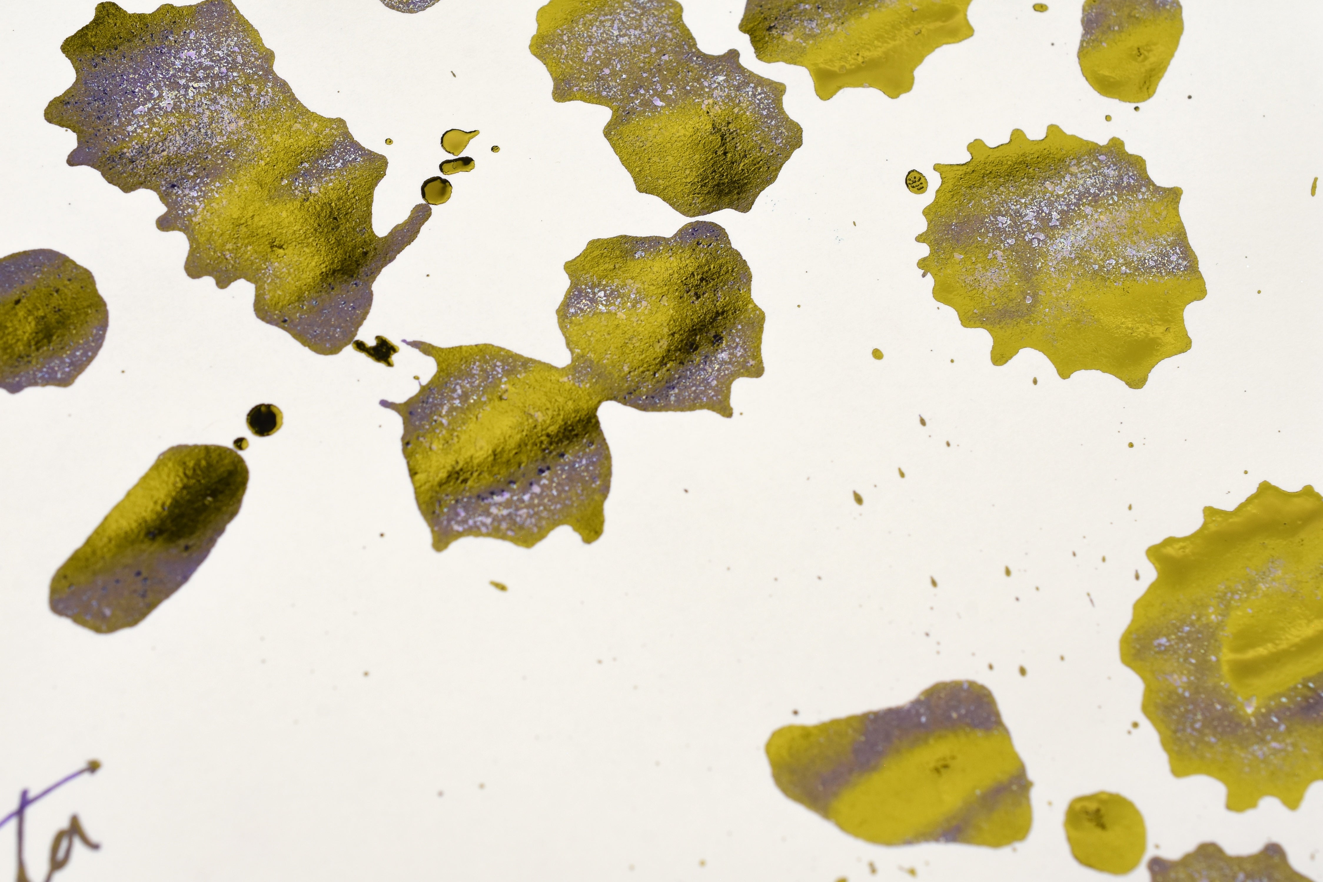 Tono & Lims Glass Pen Ink Bottle - Special Collaboration - Poison 2nd No.2a Hapalochlaena Fasciata - 30ml