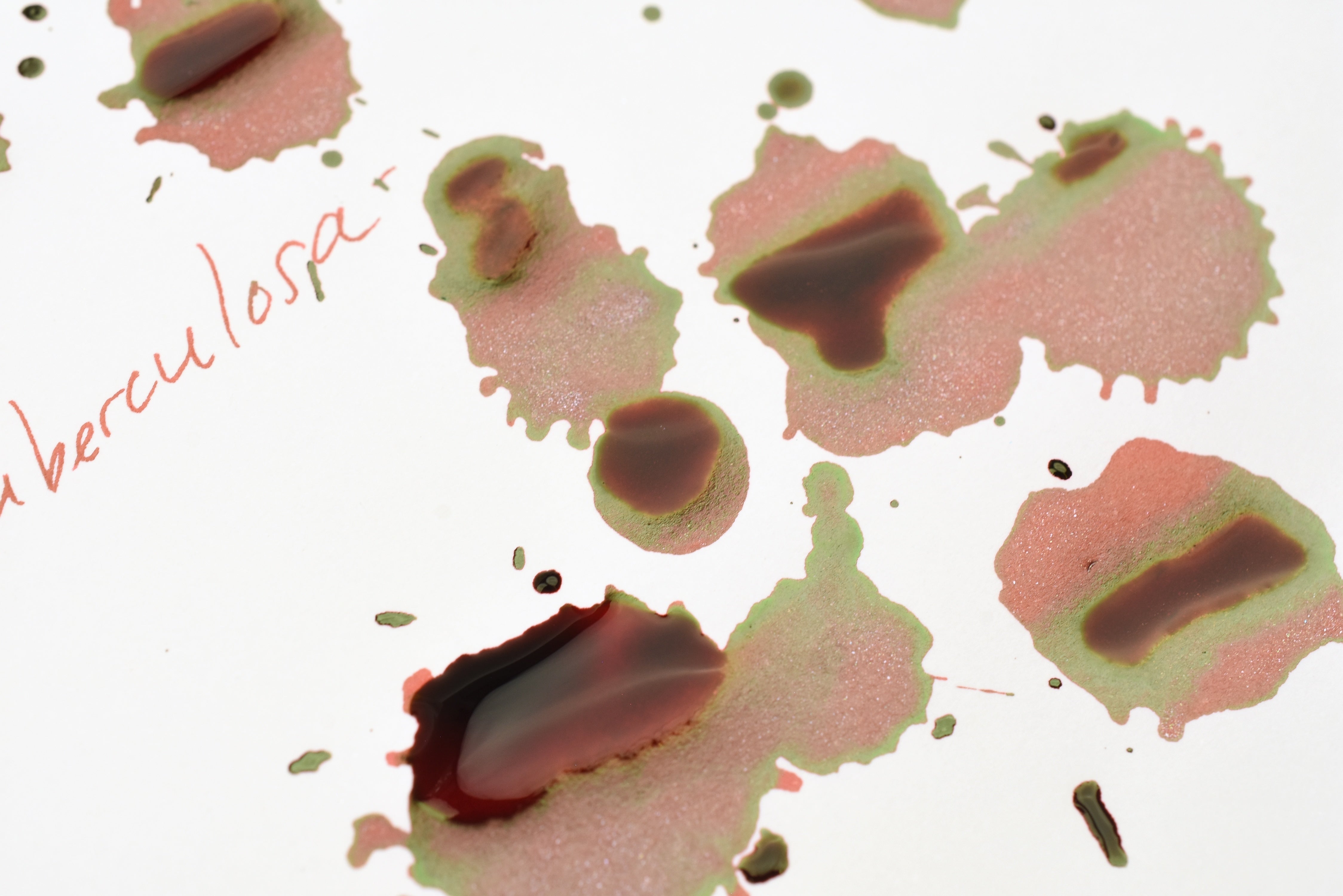 Tono & Lims Glass Pen Ink Bottle - Special Collaboration - Poison 2nd No.3a Palythoa Tuberculosa - 30ml