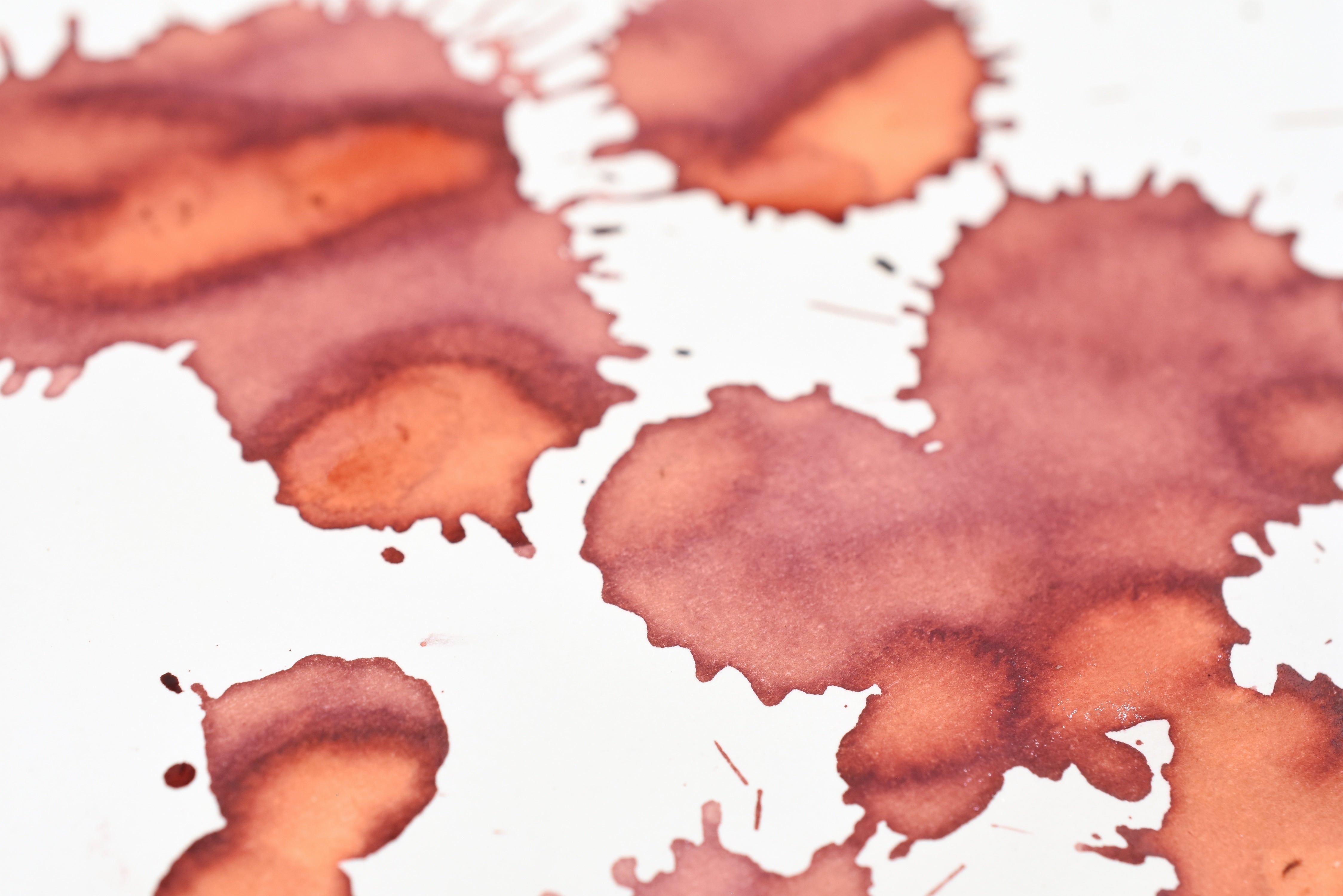 Tono & Lims Ink Bottle - Friendship - チョコレートコスモス (Chocolate Cosmos - Noir) - 30ml