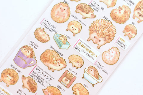 Kamio Illustrated Picture Book Stickers - Hedgehog Observation Record