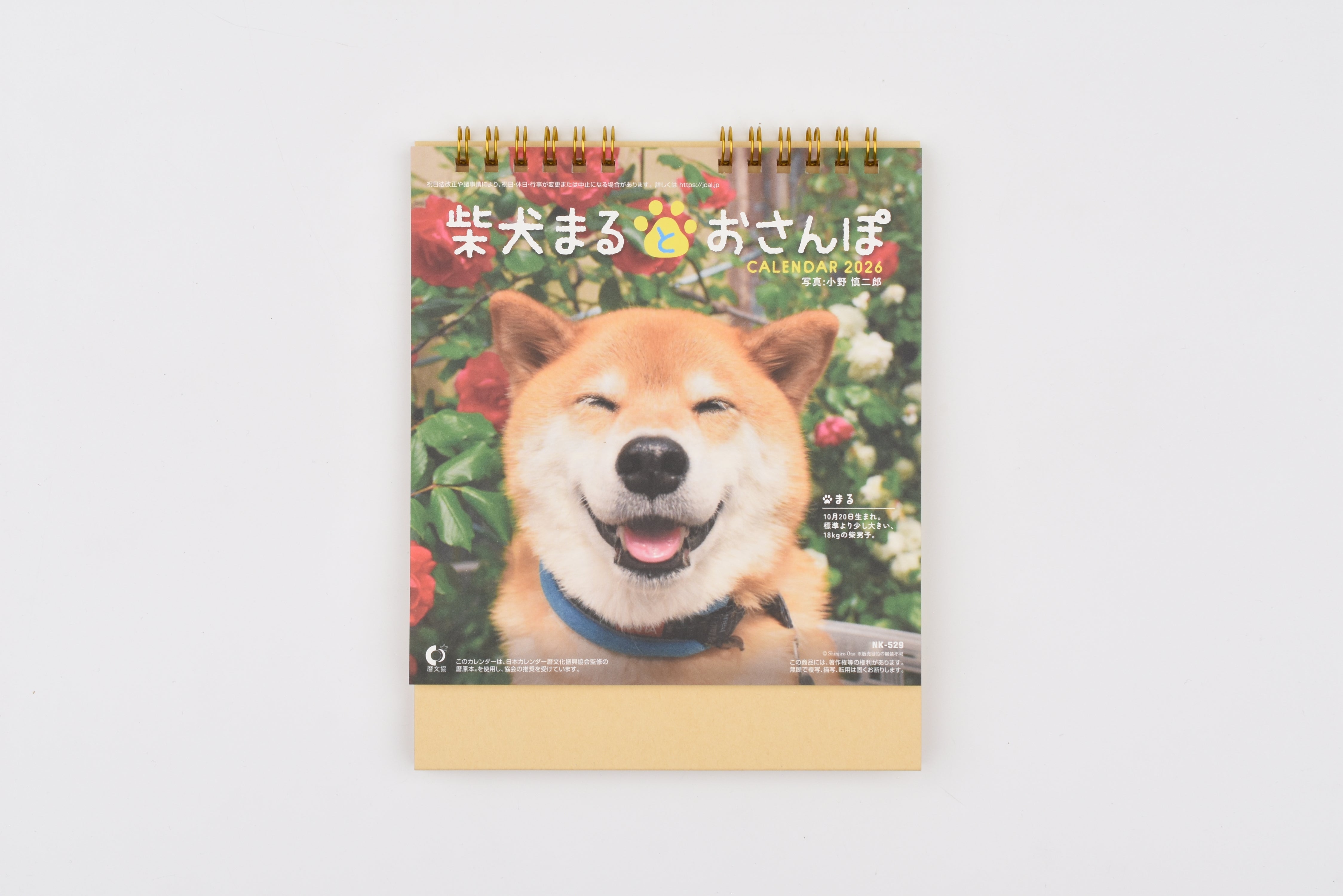 Shinnippon 2026 - Desktop Monthly Calendar - Walking with Shiba Inu Maru