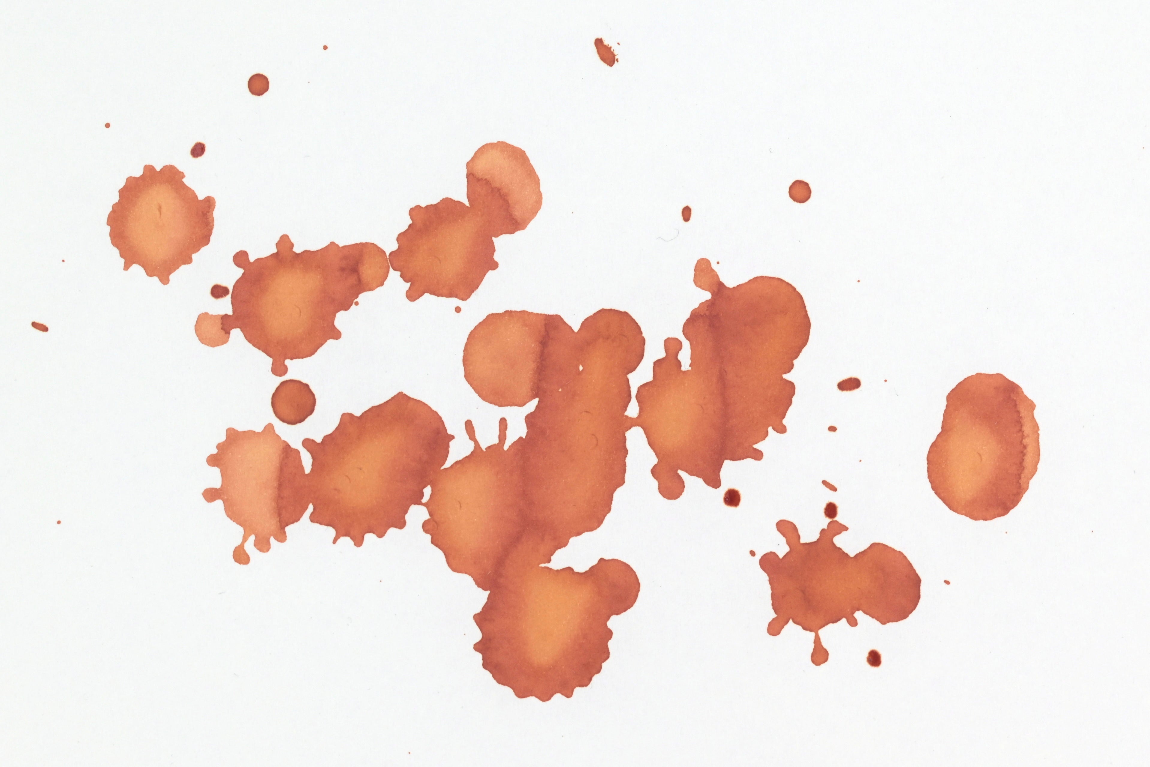 Tono & Lims Ink Bottle - Special Collaboration - Curious Ochre