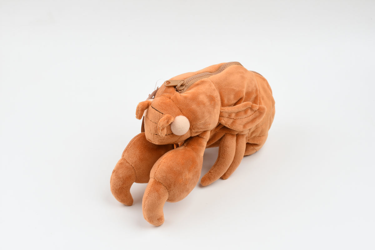 Sun-Star Cicada Shell Pencil Case – Yoseka Stationery
