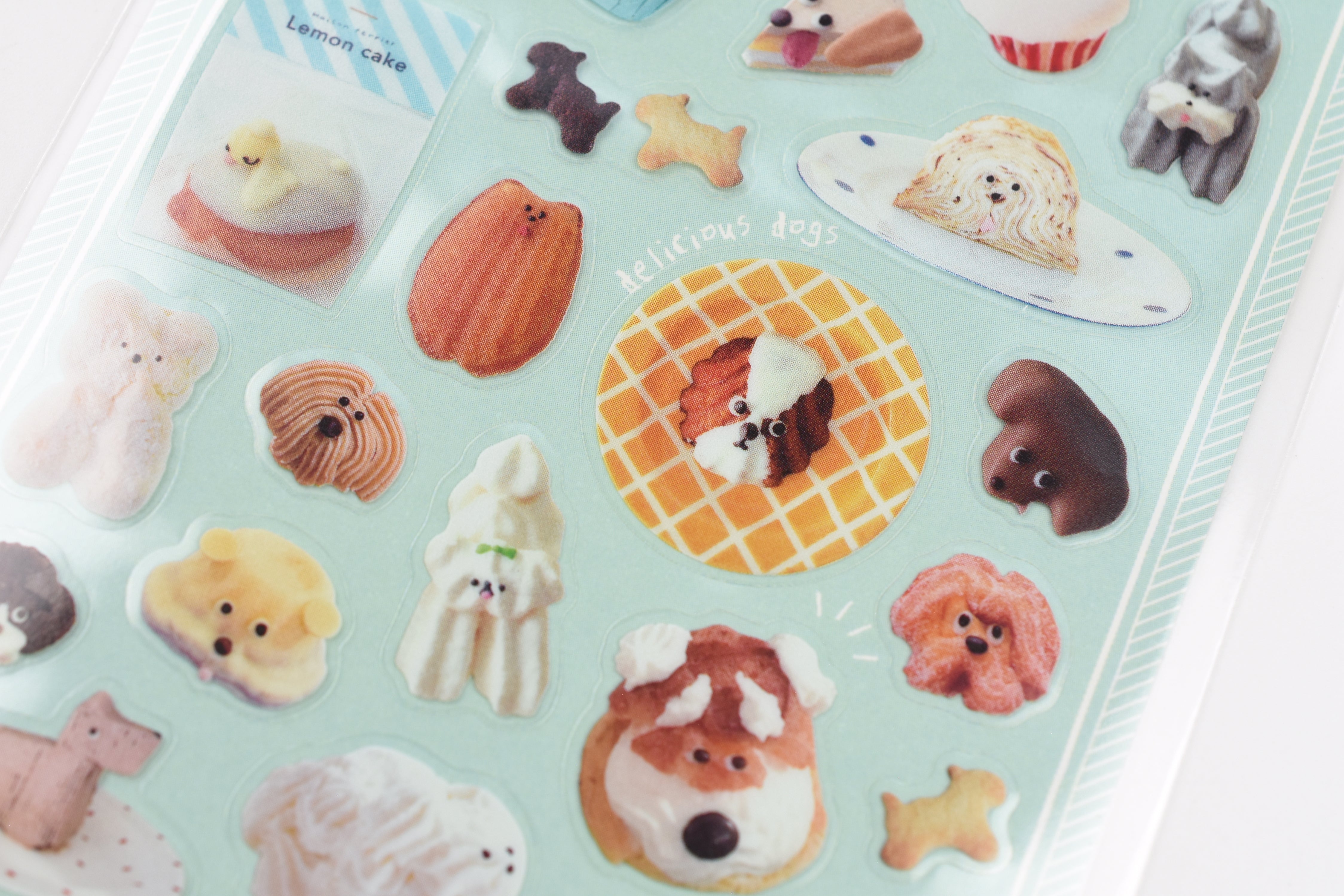 Frontier Transparent Sticker Sheet - CREATORS CIRCUS - Maison Terrier