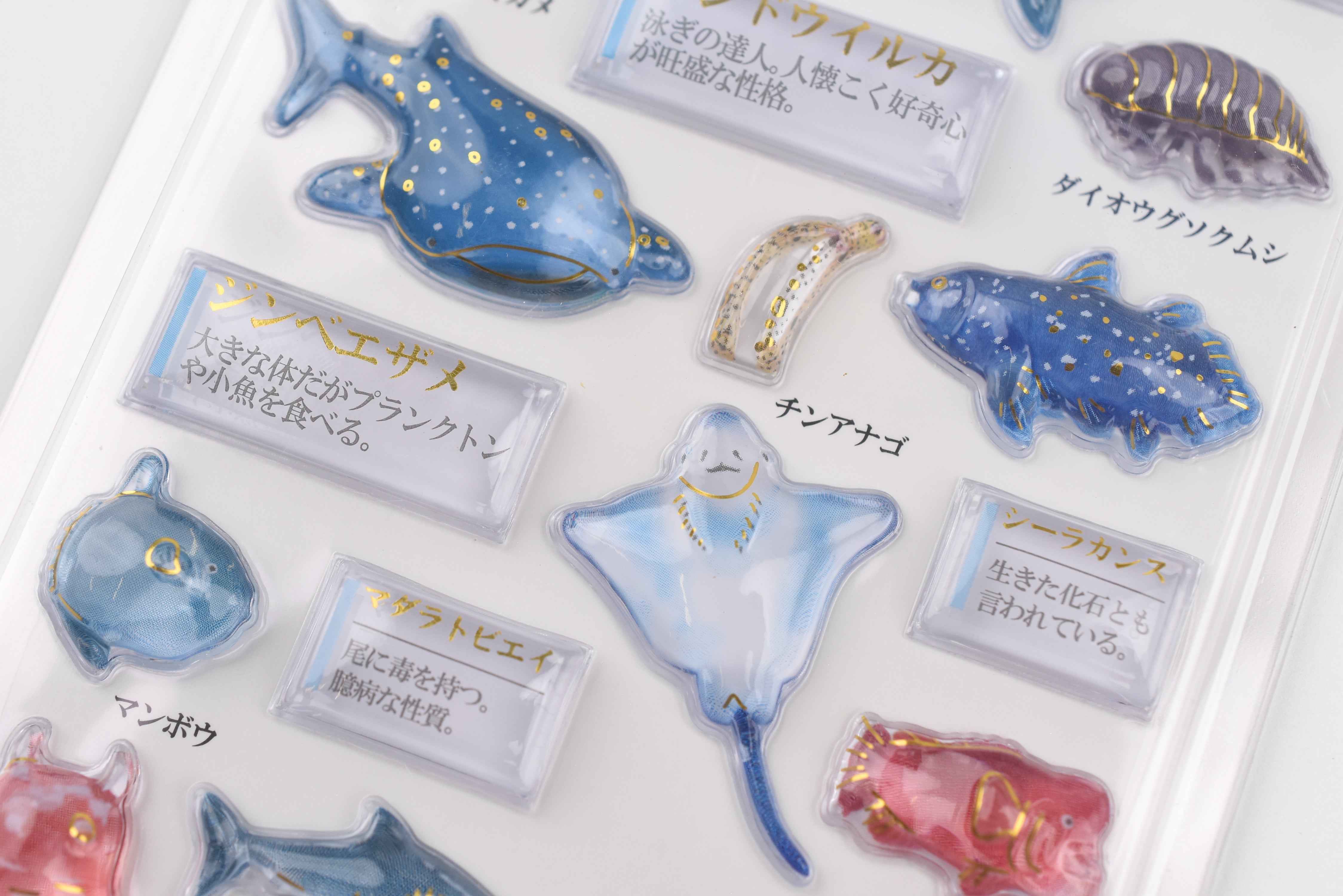 Kamio 3D Adult Illustrated Picture Book Stickers - 3D Marine Life