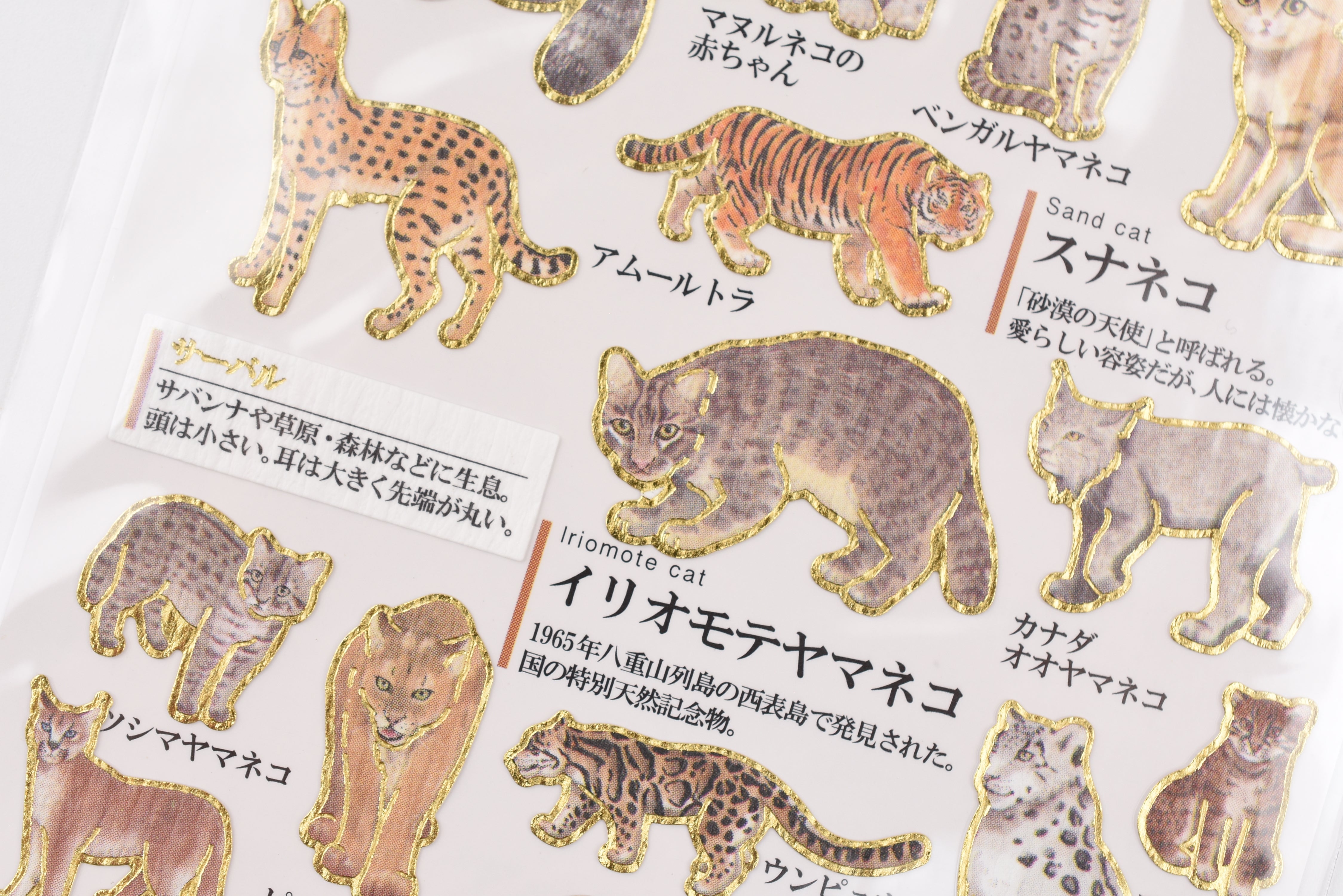 Kamio Adult Illustrated Picture Book Stickers - Feline Animals