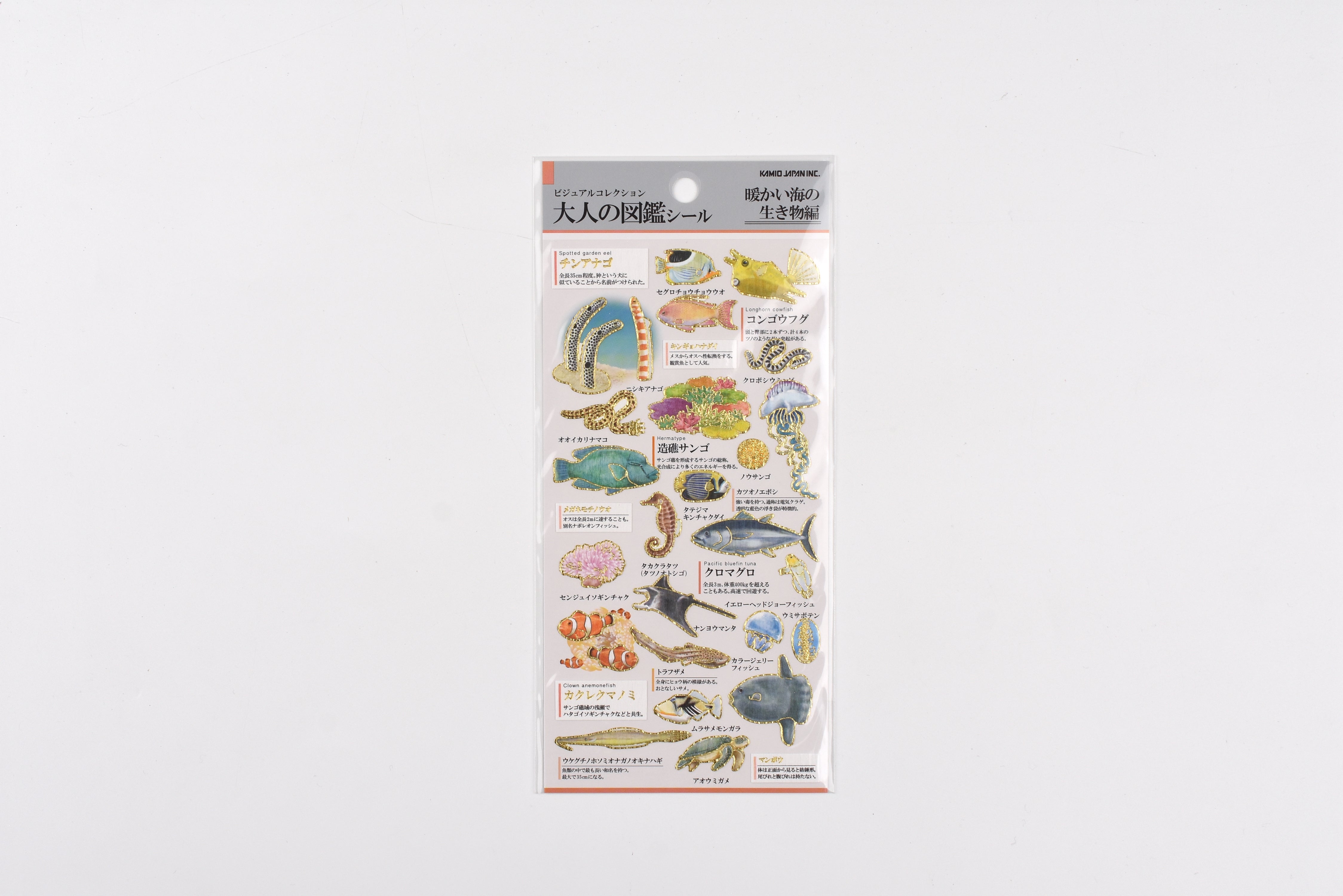 Kamio Adult Illustrated Picture Book Stickers - Warm Sea Creatures