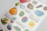 Kamio Illustrated Picture Book Stickers - Minerals