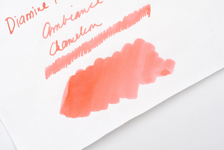 Diamine Teal Edition - Chameleon - Ambience