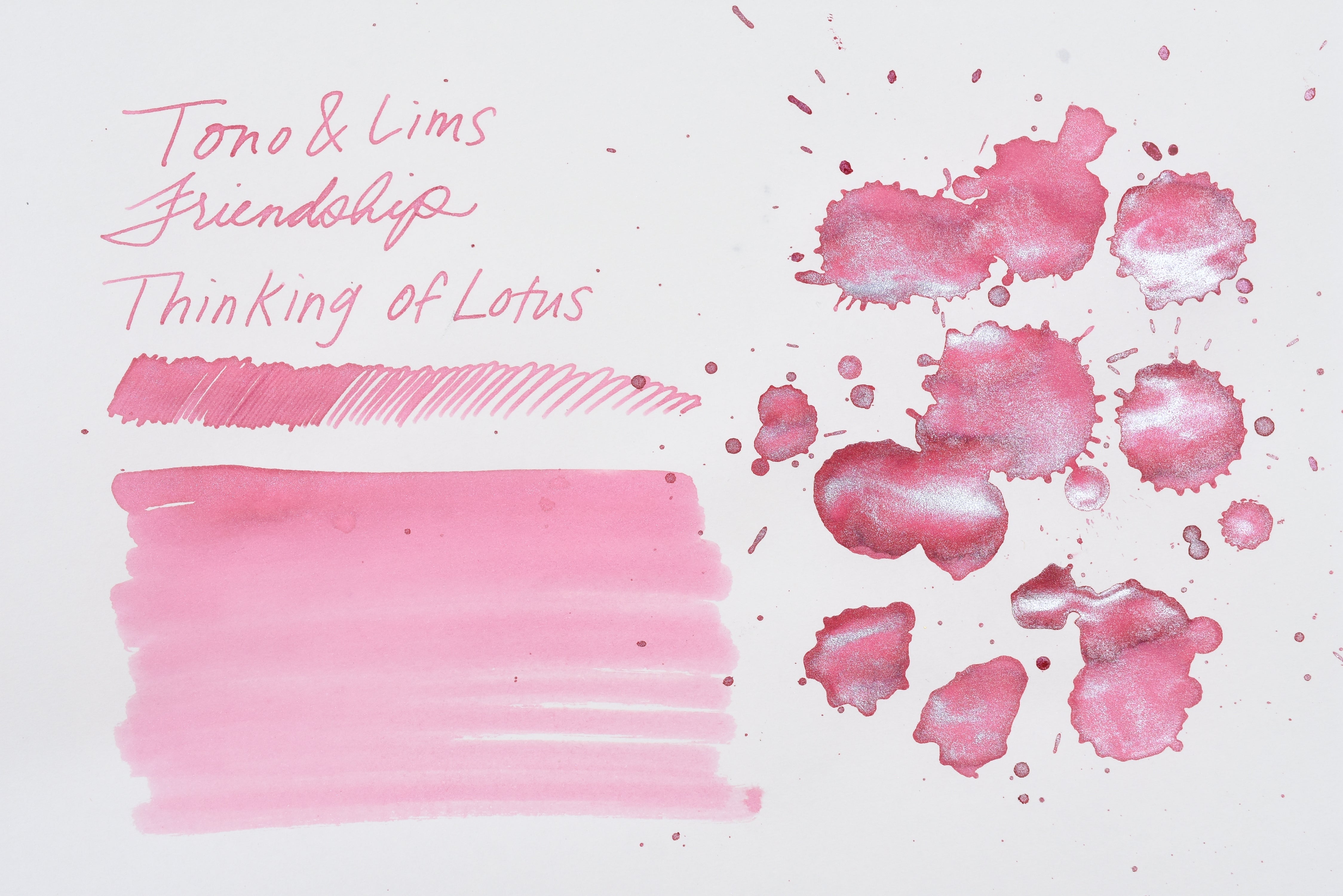 Tono & Lims Ink Bottle - Friendship - 蓮想ふ (Thinking of Lotus) - 30ml